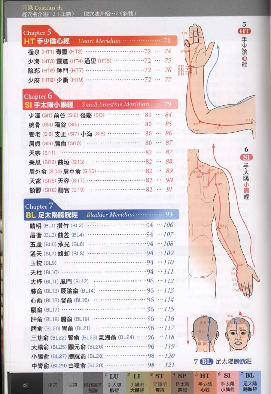 经穴大全超科学3D经穴解剖全书--台版-01.pdf_第14页