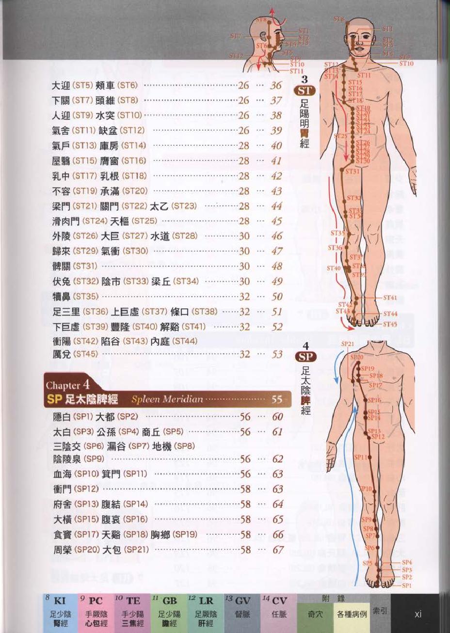 经穴大全超科学3D经穴解剖全书--台版-01.pdf_第13页