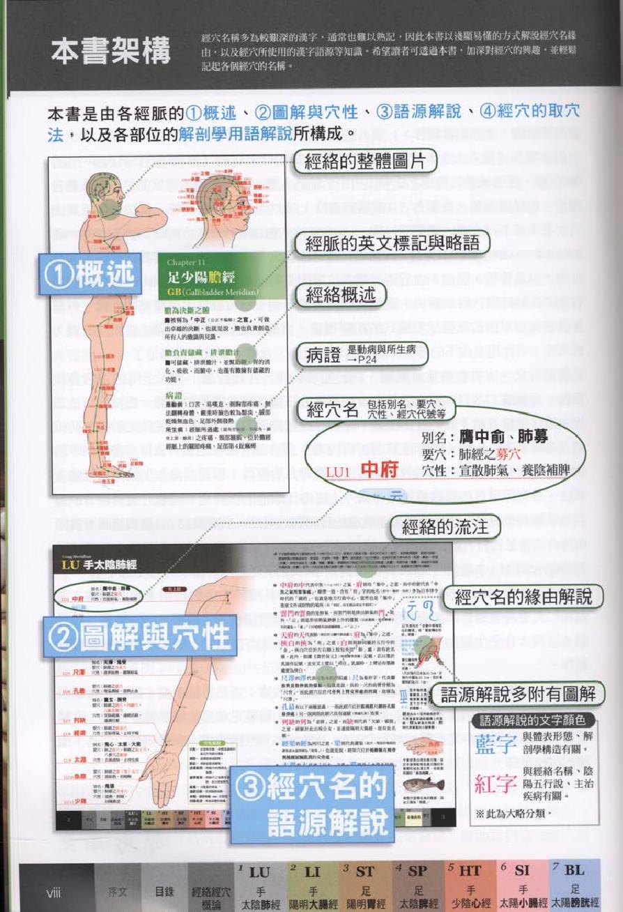 经穴大全超科学3D经穴解剖全书--台版-01.pdf_第10页