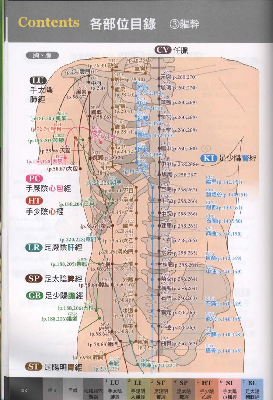 经穴大全超科学3D经穴解剖全书--台版-01.pdf_第22页