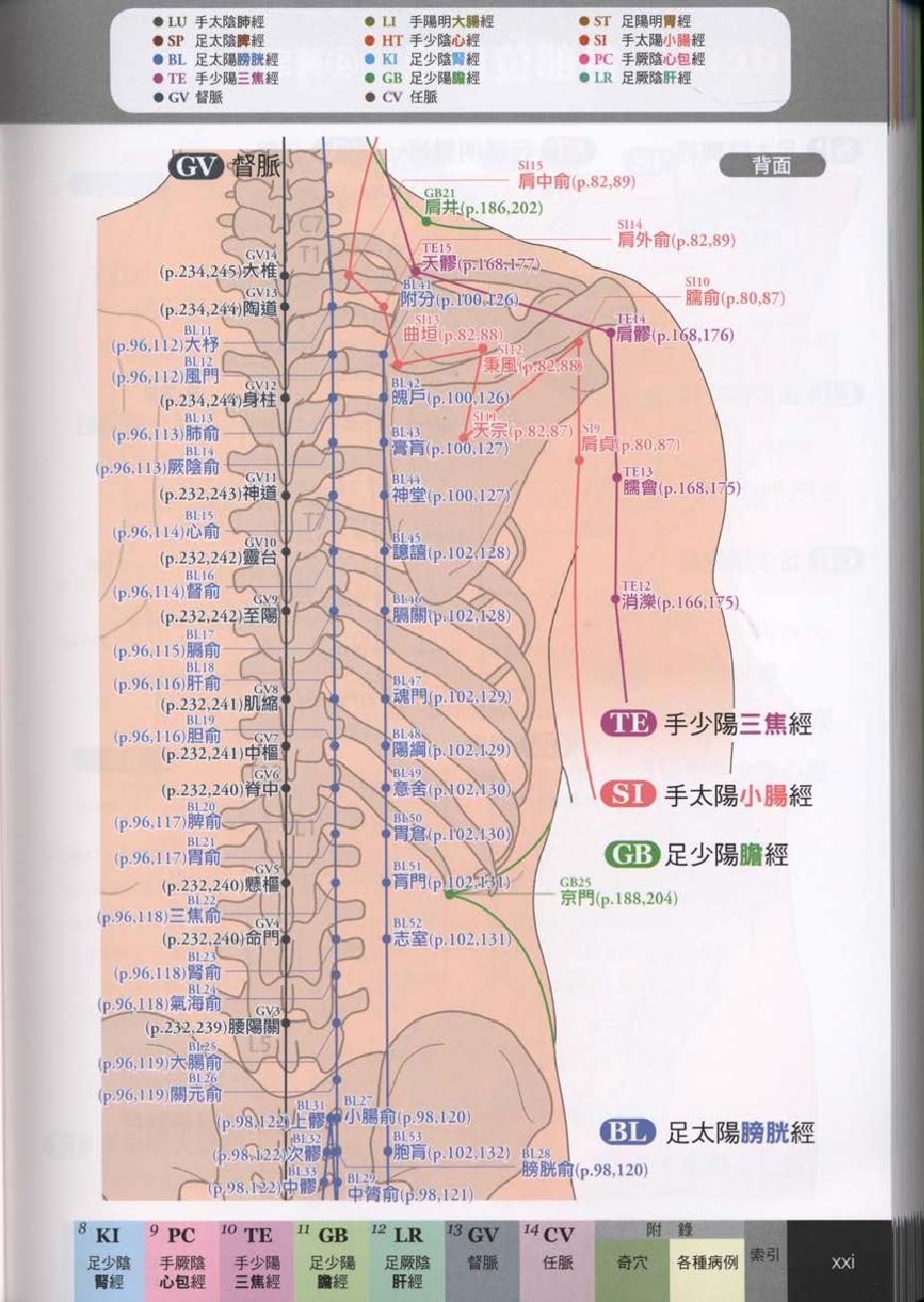 经穴大全超科学3D经穴解剖全书--台版-01.pdf_第23页