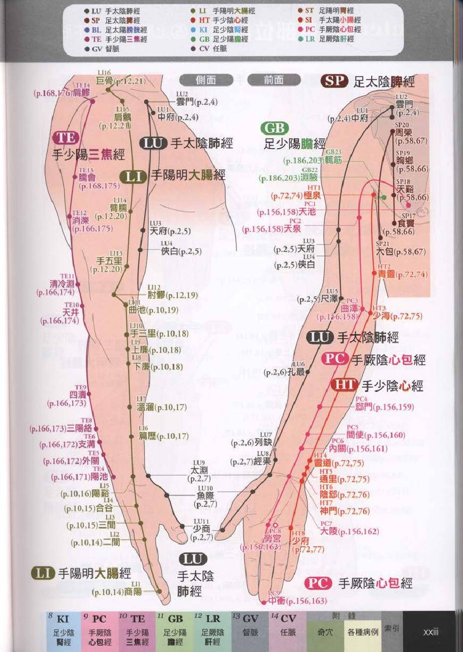 经穴大全超科学3D经穴解剖全书--台版-01.pdf_第25页