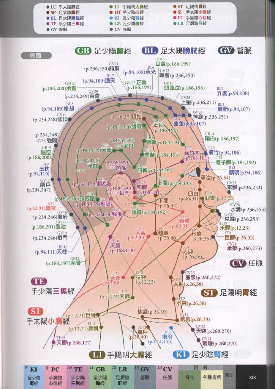 经穴大全超科学3D经穴解剖全书--台版-01.pdf_第21页