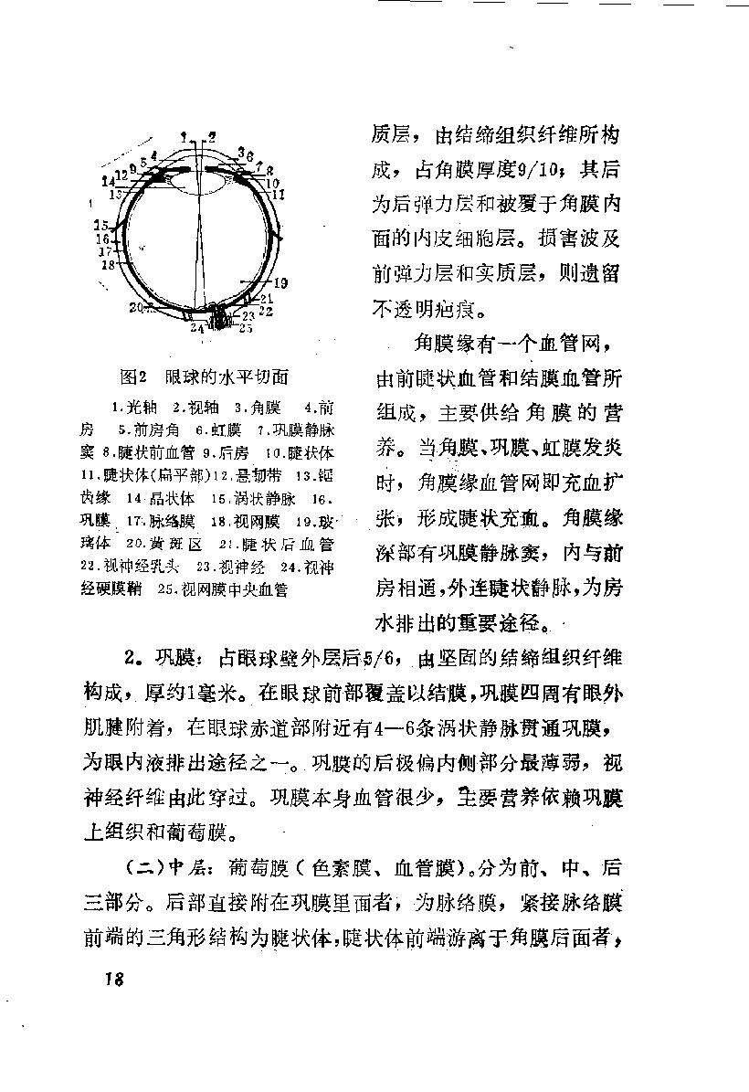 陈达夫中医眼科临床经验_10059774.pdf_第25页