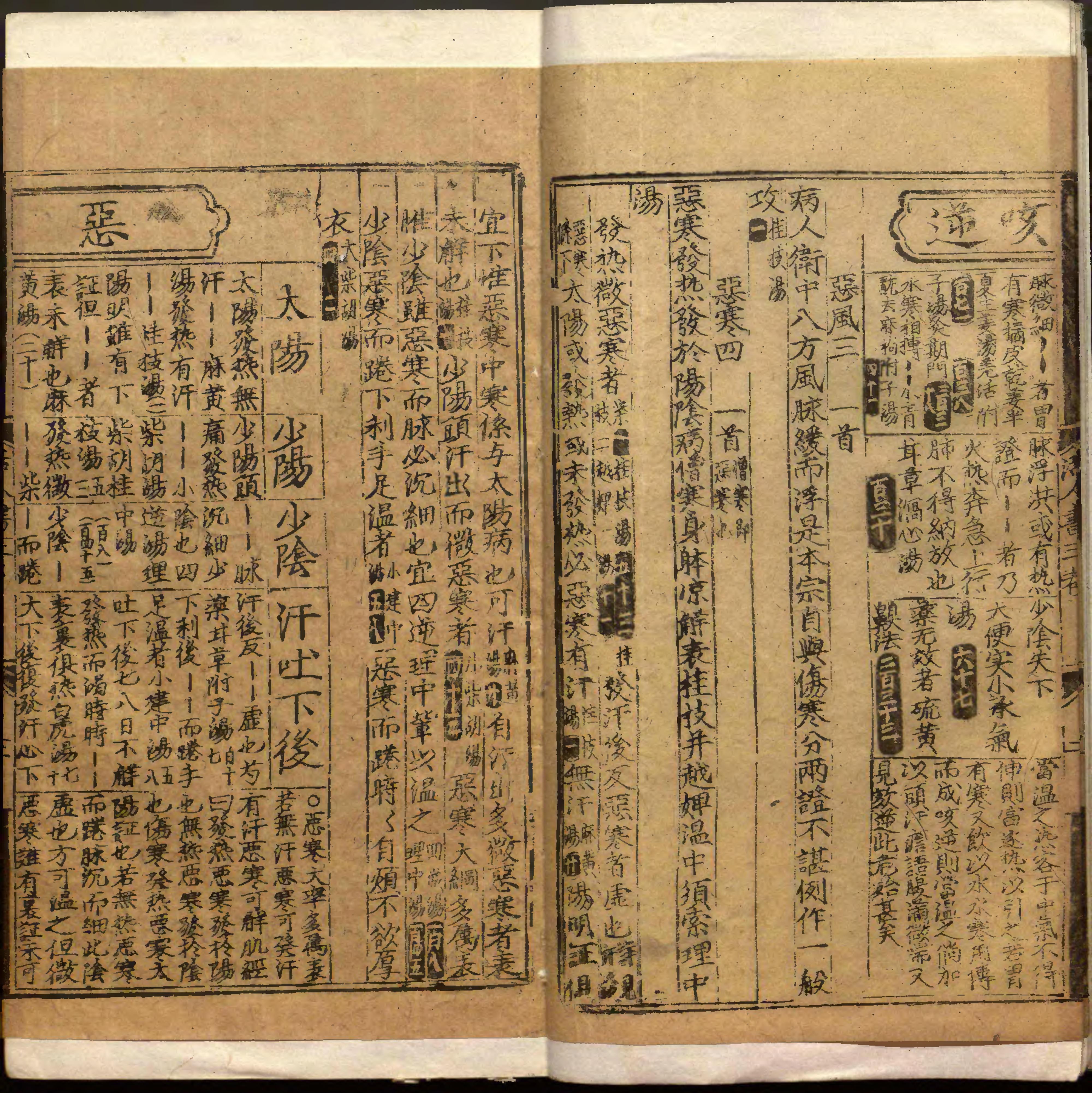 類編傷寒活人書括指掌圖論九卷首一卷續一卷-第004冊.pdf_第5页