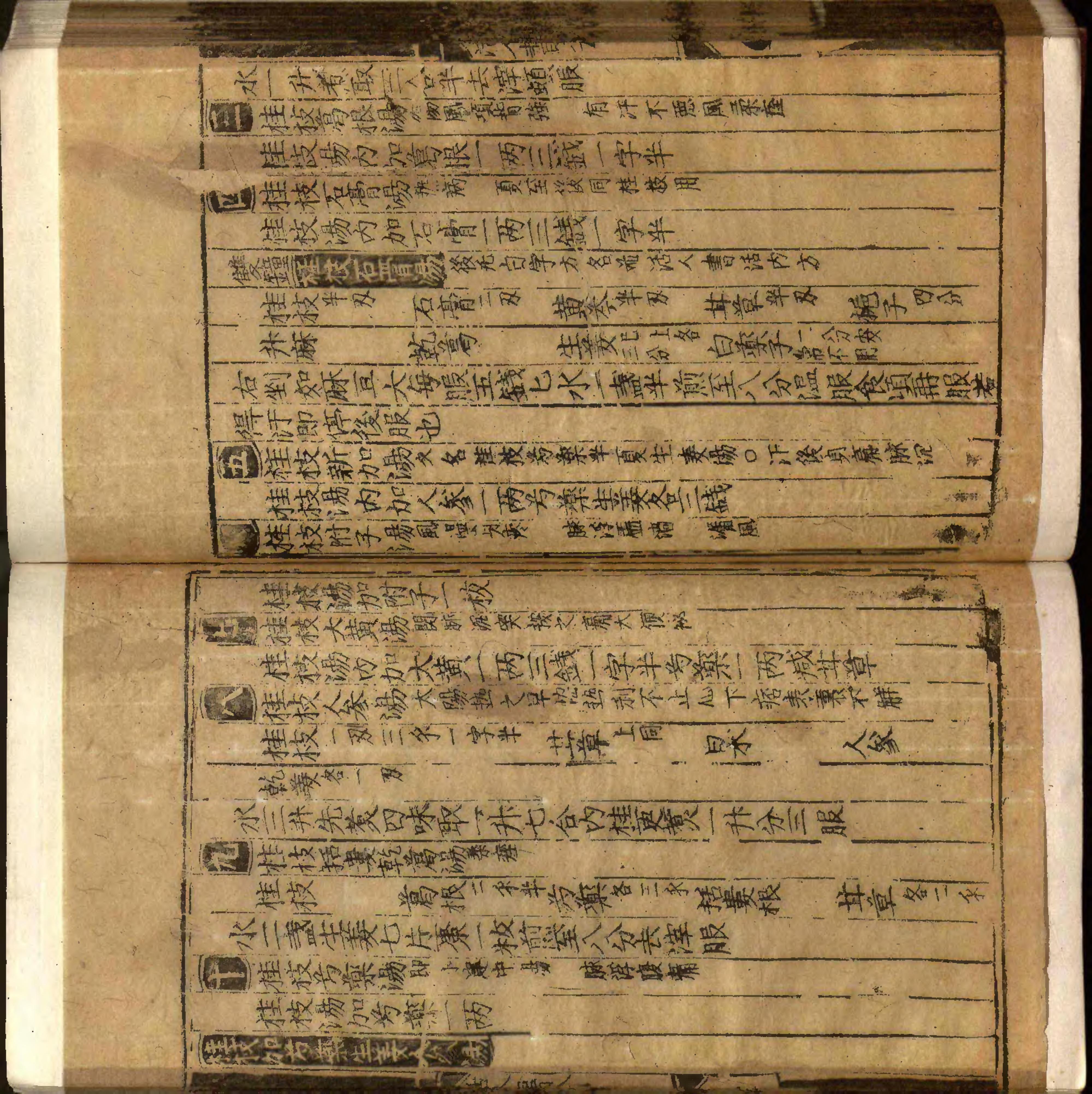 類編傷寒活人書括指掌圖論九卷首一卷續一卷-第009冊.pdf_第4页