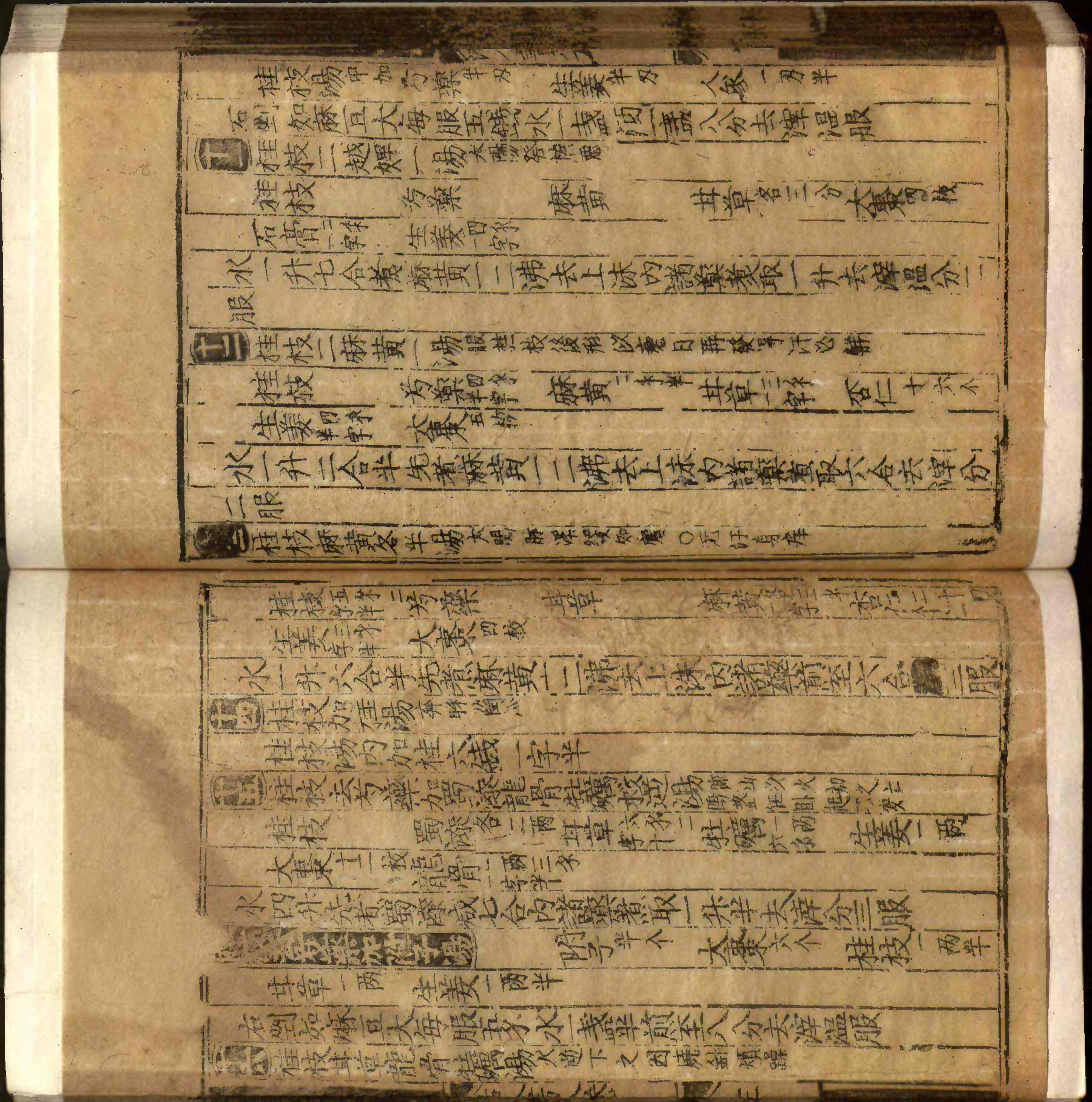 類編傷寒活人書括指掌圖論九卷首一卷續一卷-第009冊.pdf_第5页