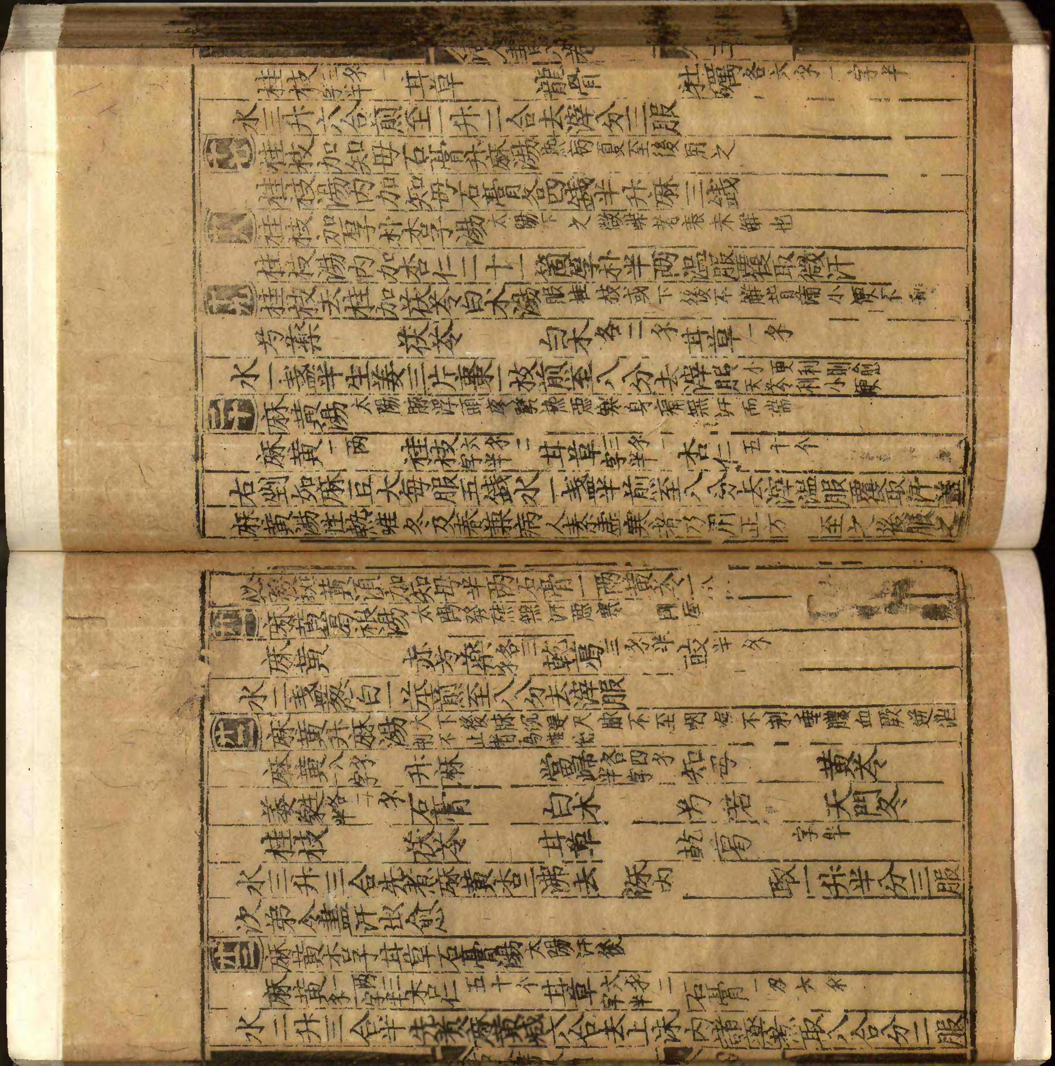 類編傷寒活人書括指掌圖論九卷首一卷續一卷-第009冊.pdf_第6页