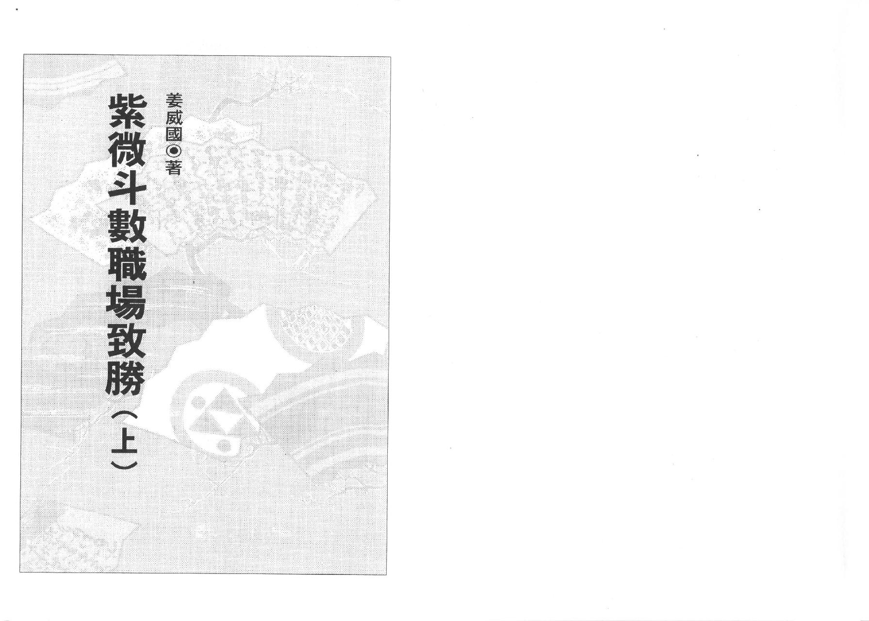 594姜威国-紫微斗数职场致胜上册.pdf_第2页