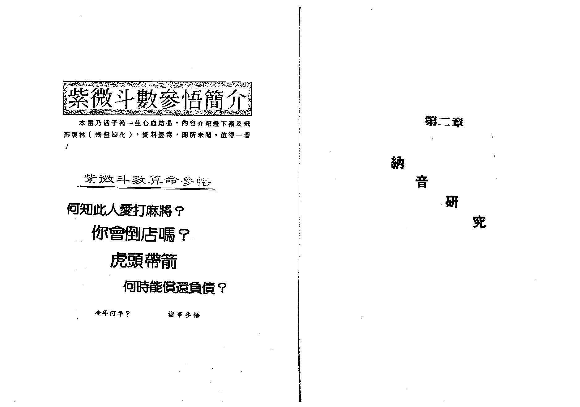 660潘子渔-紫微斗数研究.pdf_第8页