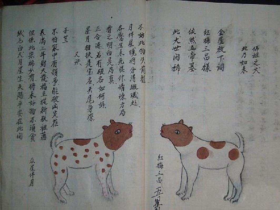 相犬大全.pdf_第10页