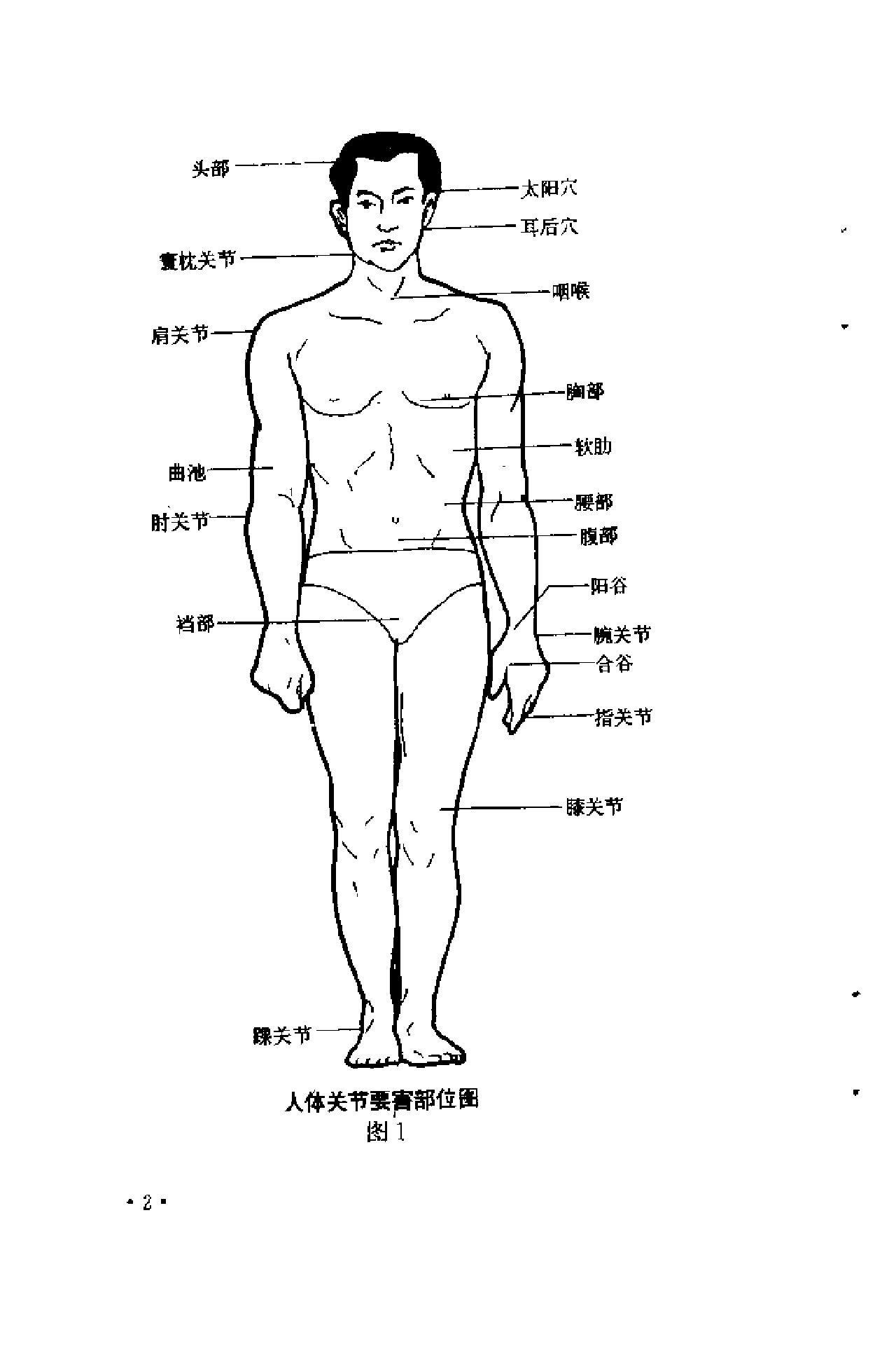 [防身绝技].杜振高.肖云成.扫描版.pdf_第6页