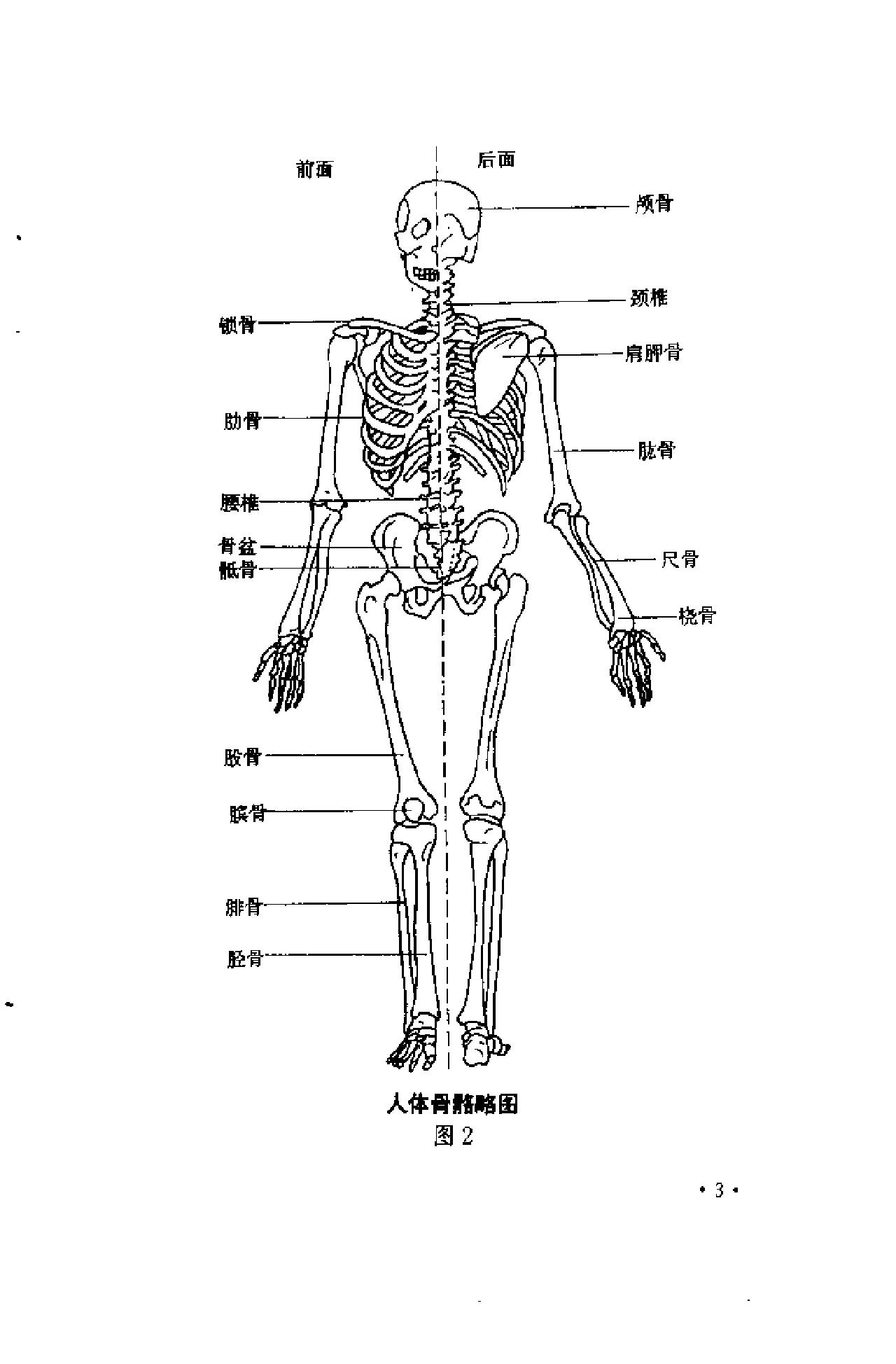 [防身绝技].杜振高.肖云成.扫描版.pdf_第7页