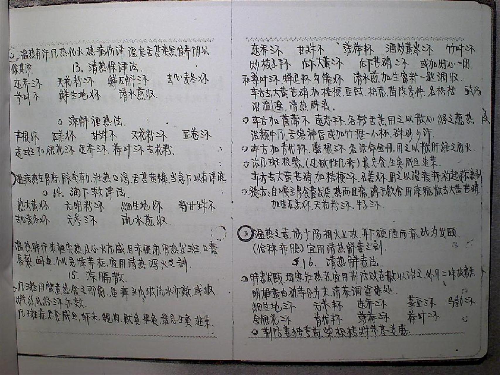 中医开方手抄本.pdf_第8页