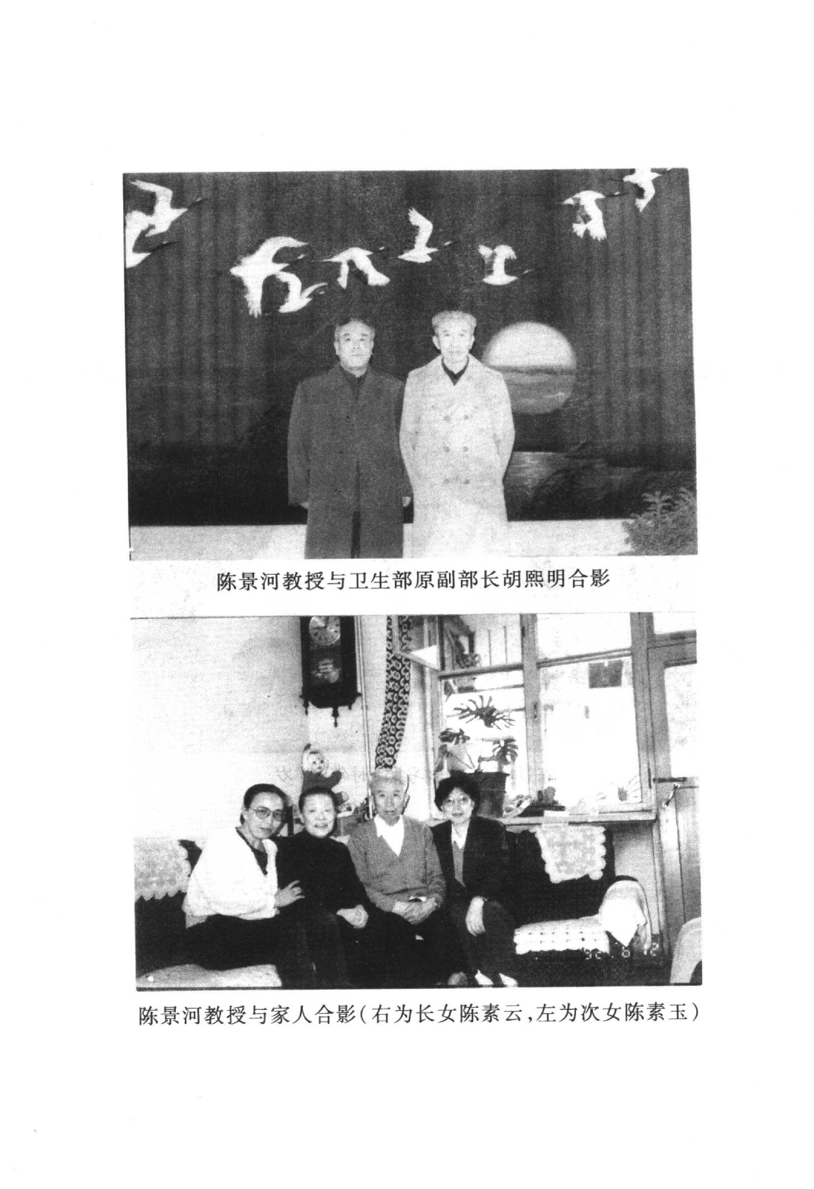 中国百年百名中医临床家丛书--陈景河.pdf_第4页