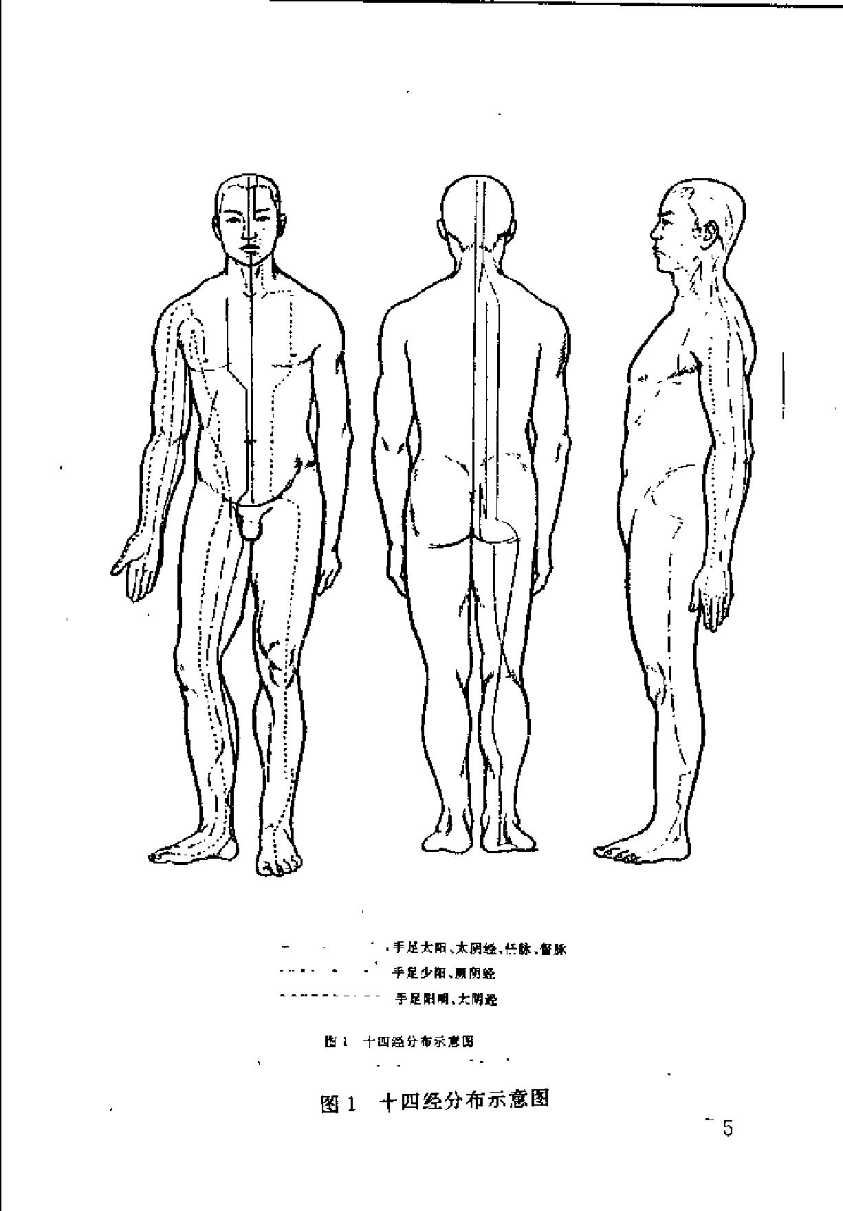 实用美容针灸.pdf_第10页