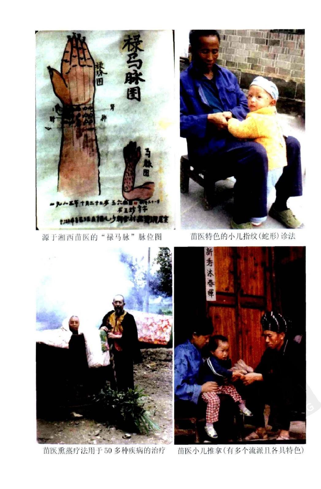 苗医绝技秘法传真.pdf_第10页