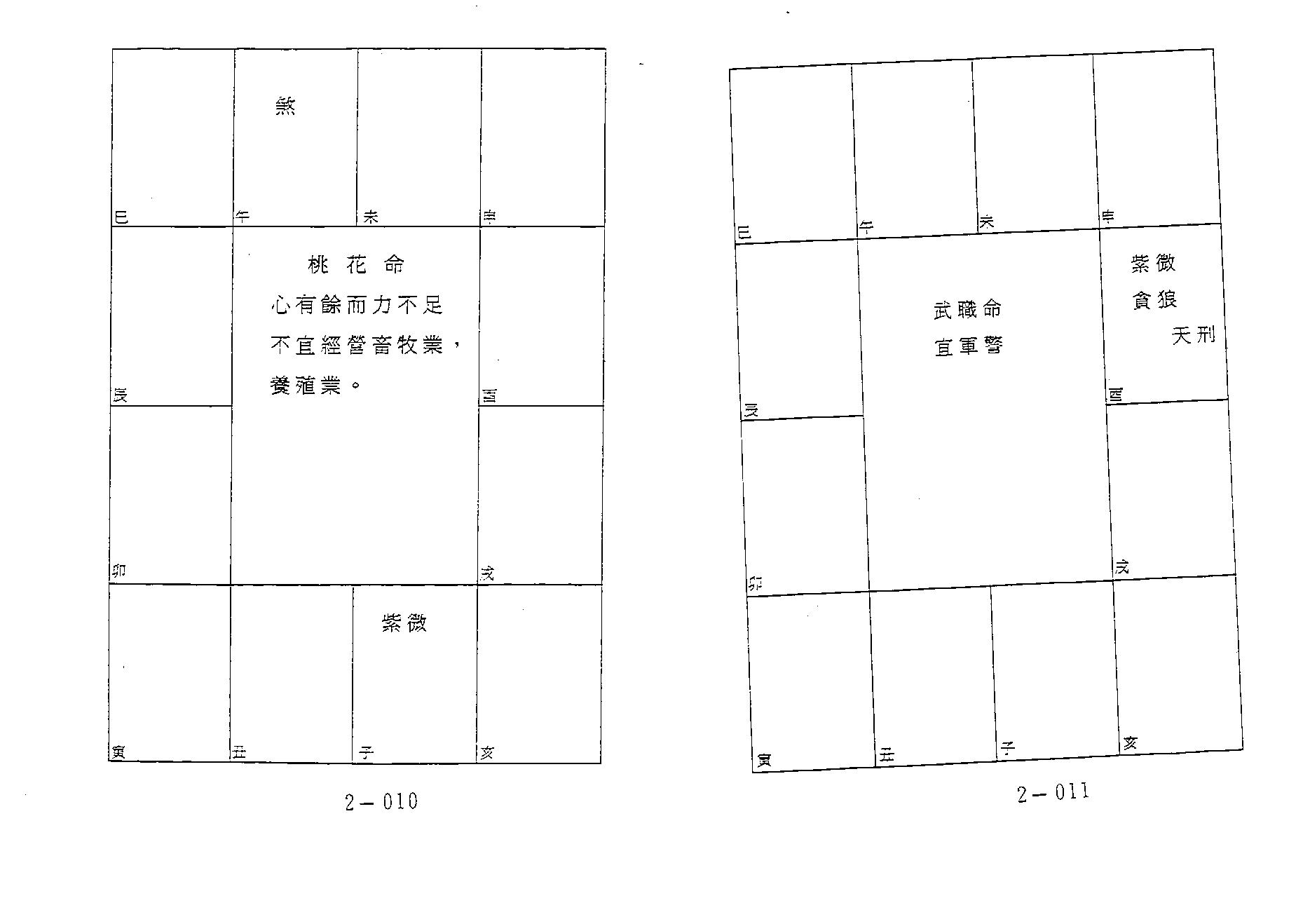 644潘子渔-紫微斗数补命书（二）.pdf_第6页