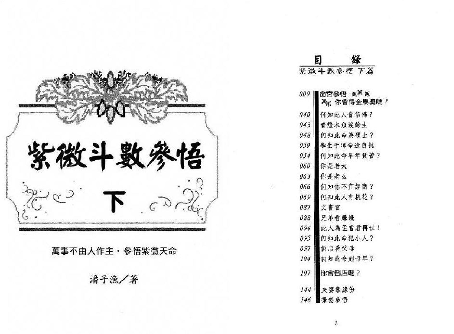 651潘子渔-紫微斗数参悟下册.pdf_第2页