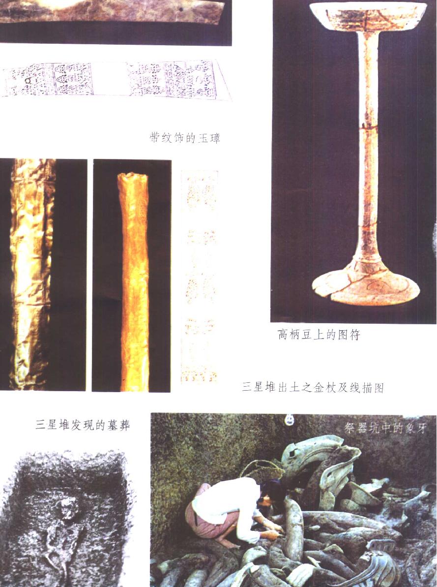 三星堆文化探秘及《山海经#断想#作者#刘少匆著.pdf_第6页