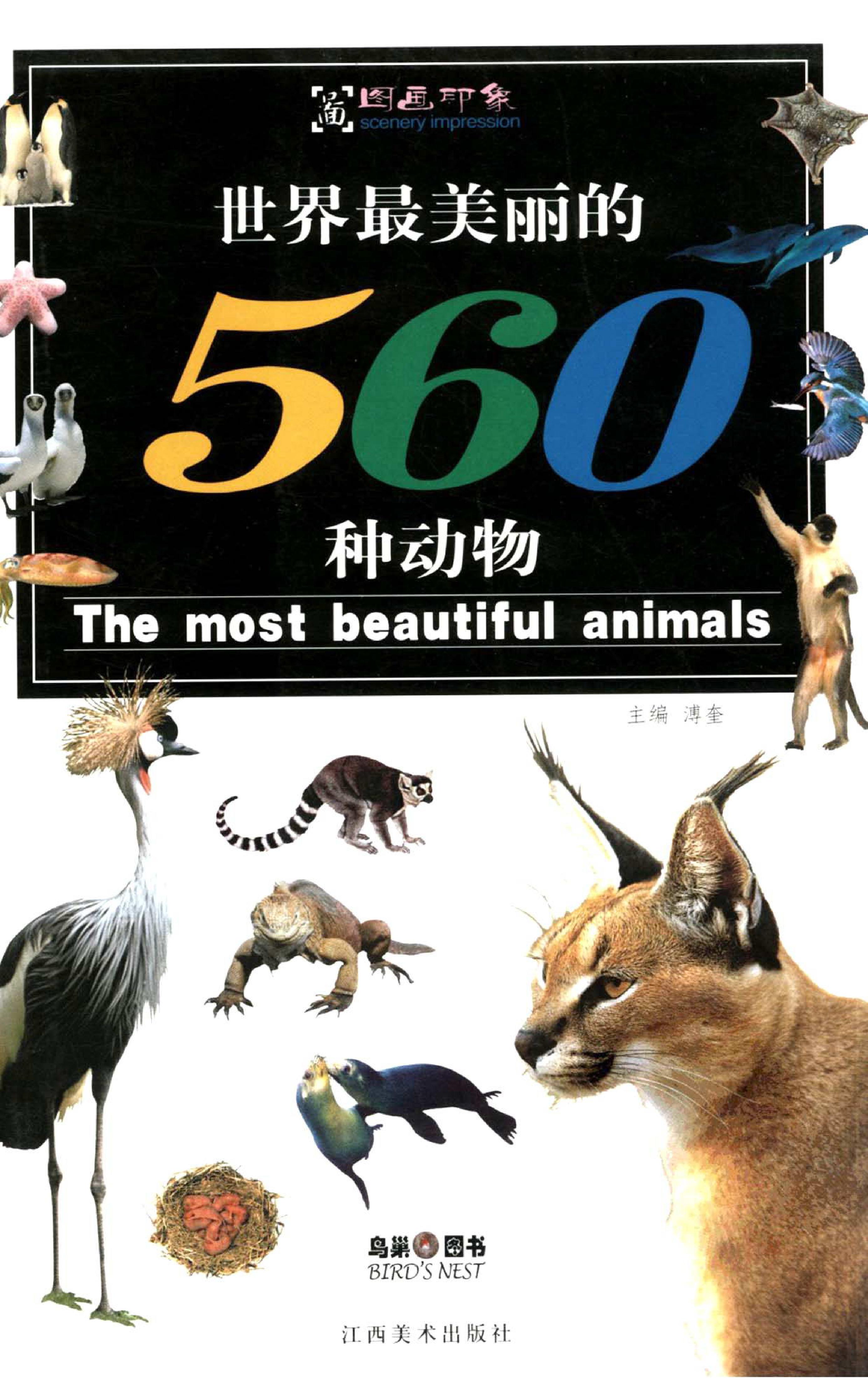 世界最美丽的560种动物#1#主编#溥奎.pdf_第1页