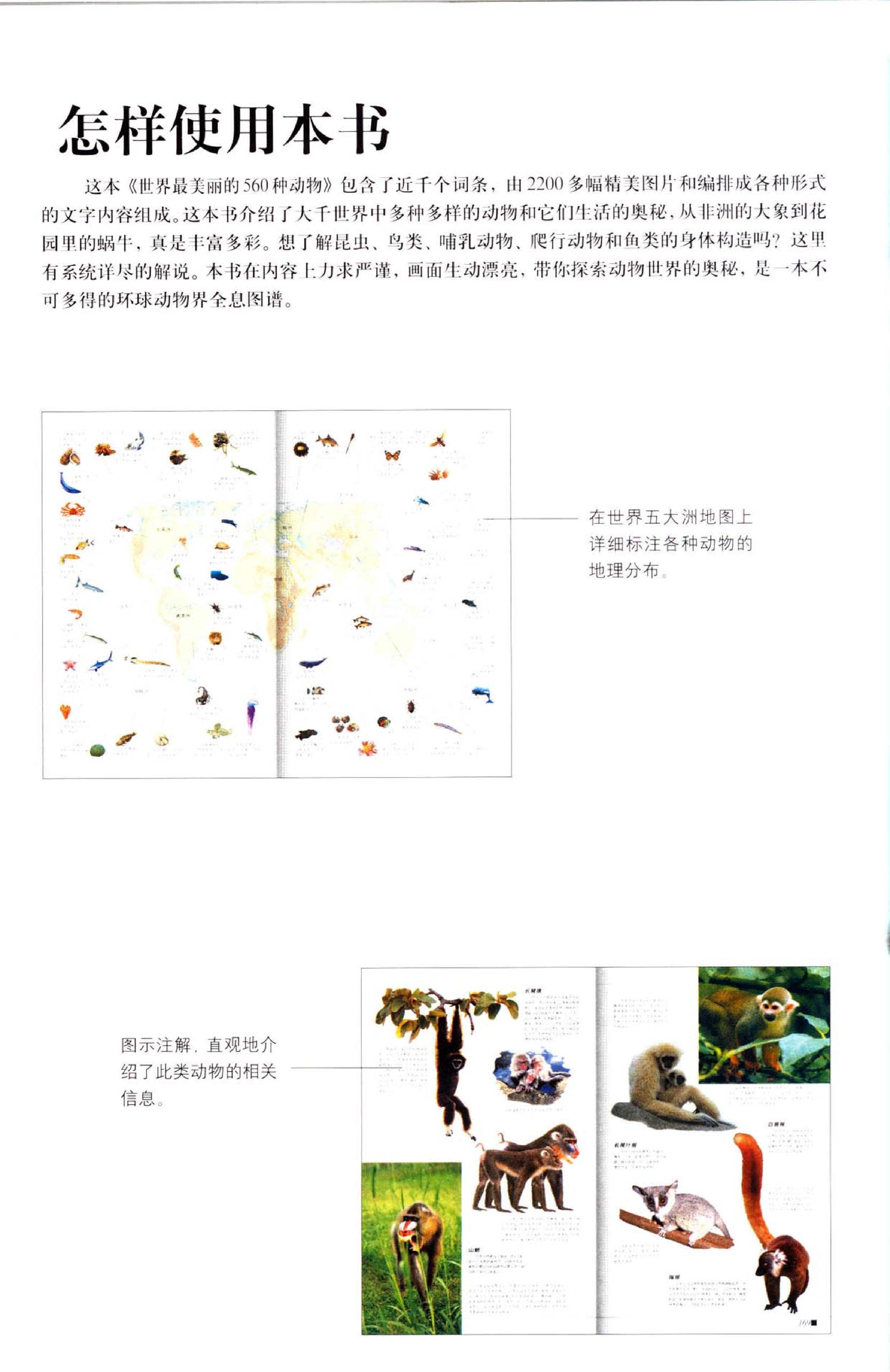 世界最美丽的560种动物#1#主编#溥奎.pdf_第5页