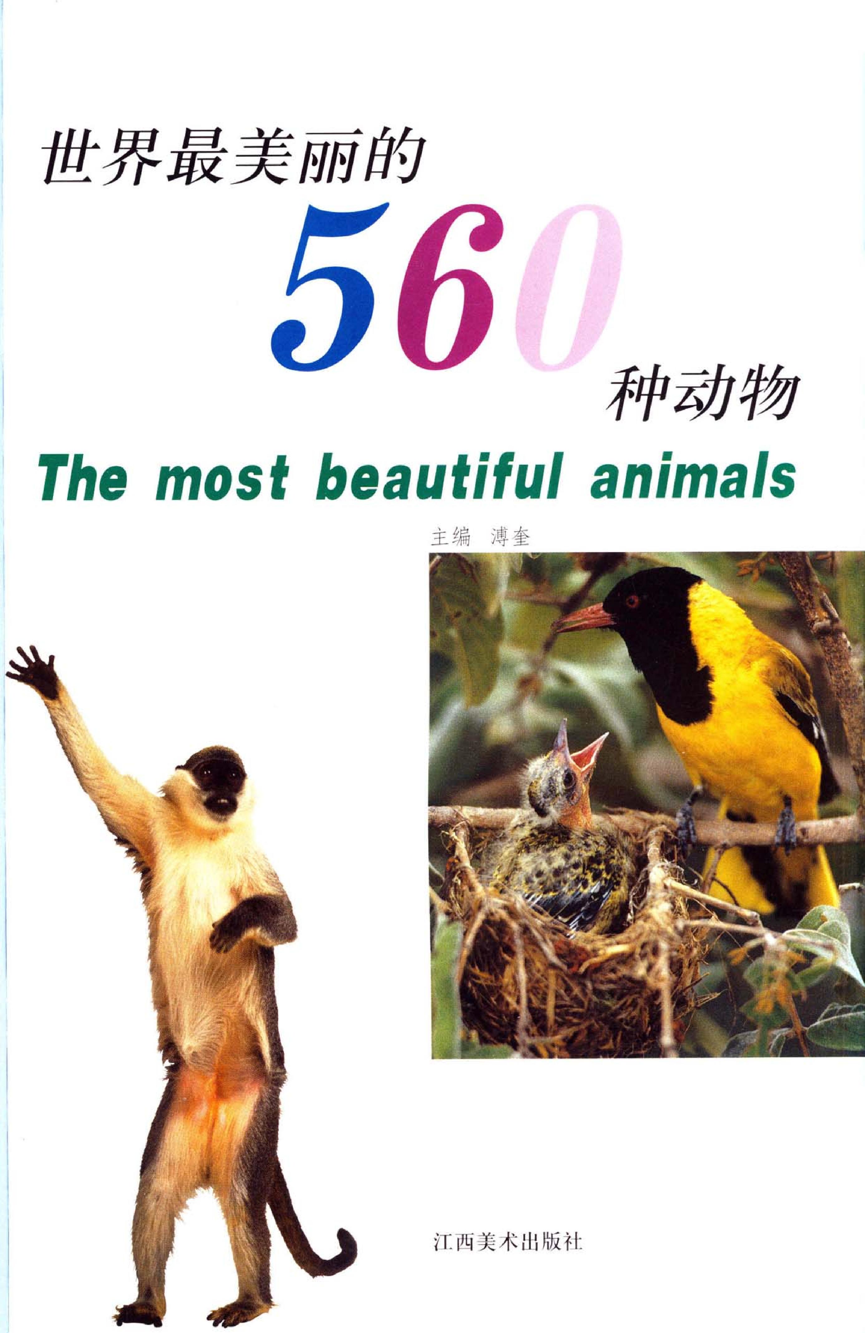 世界最美丽的560种动物#1#主编#溥奎.pdf_第2页