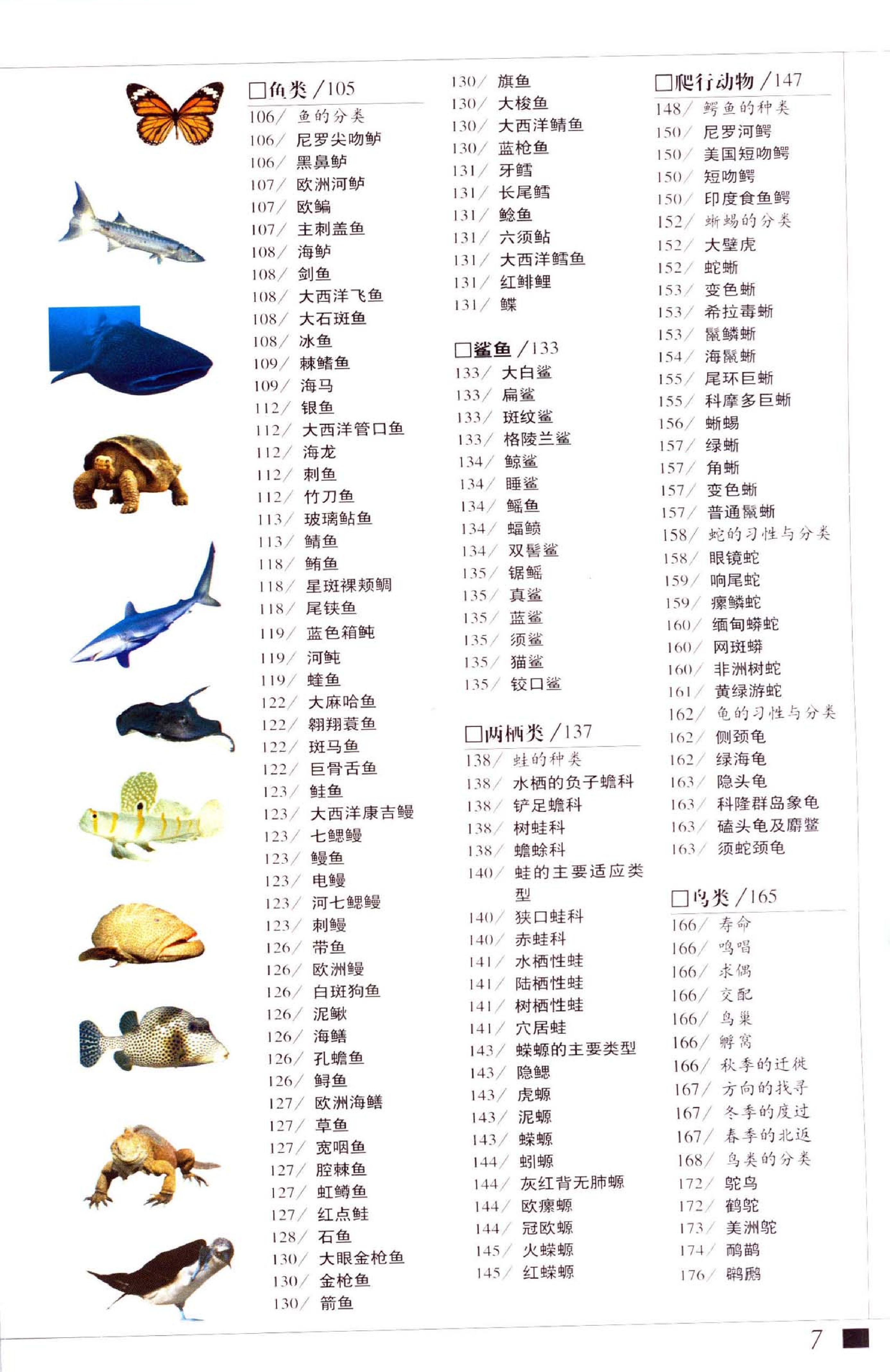 世界最美丽的560种动物#1#主编#溥奎.pdf_第8页