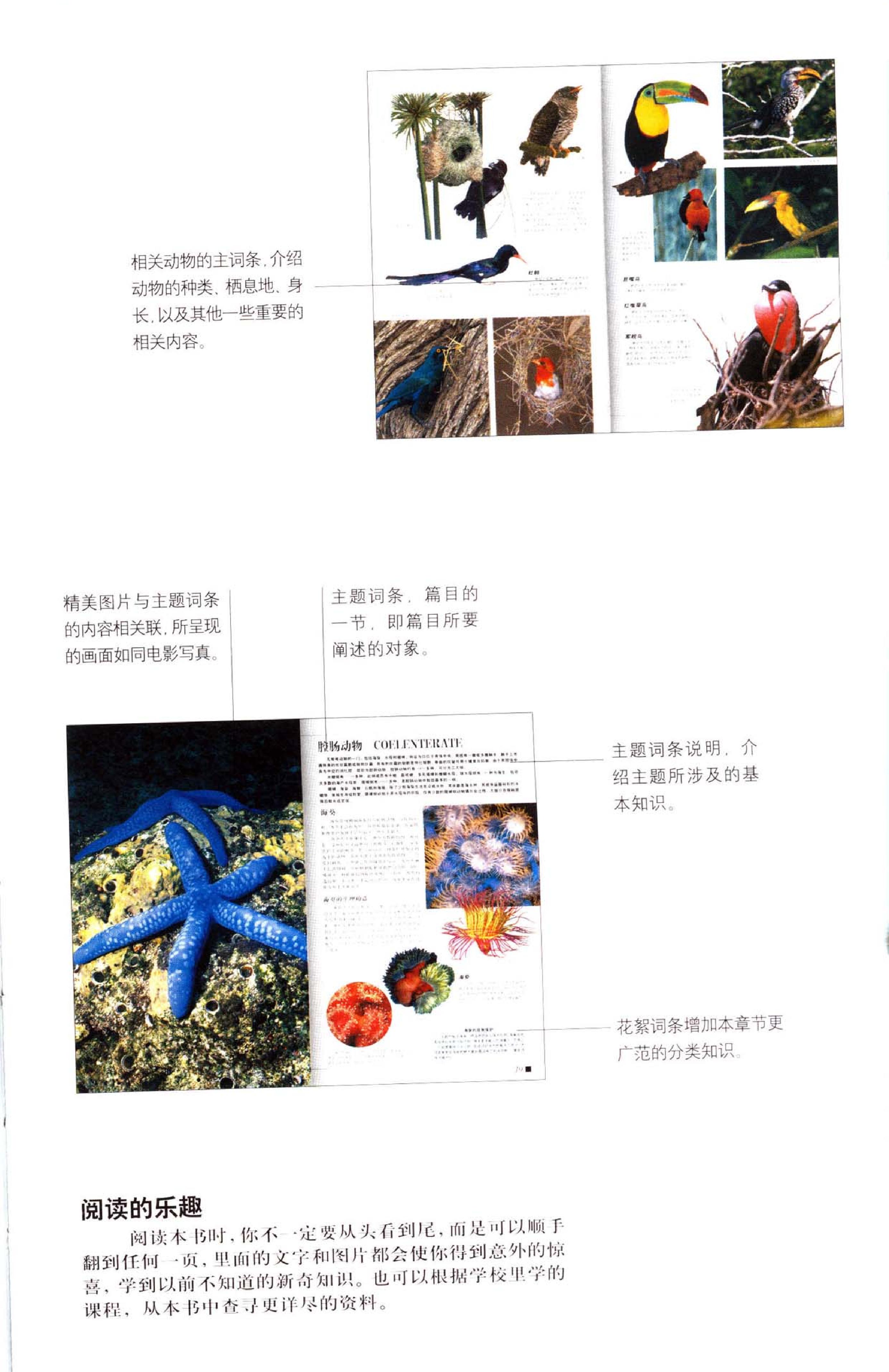 世界最美丽的560种动物#1#主编#溥奎.pdf_第6页