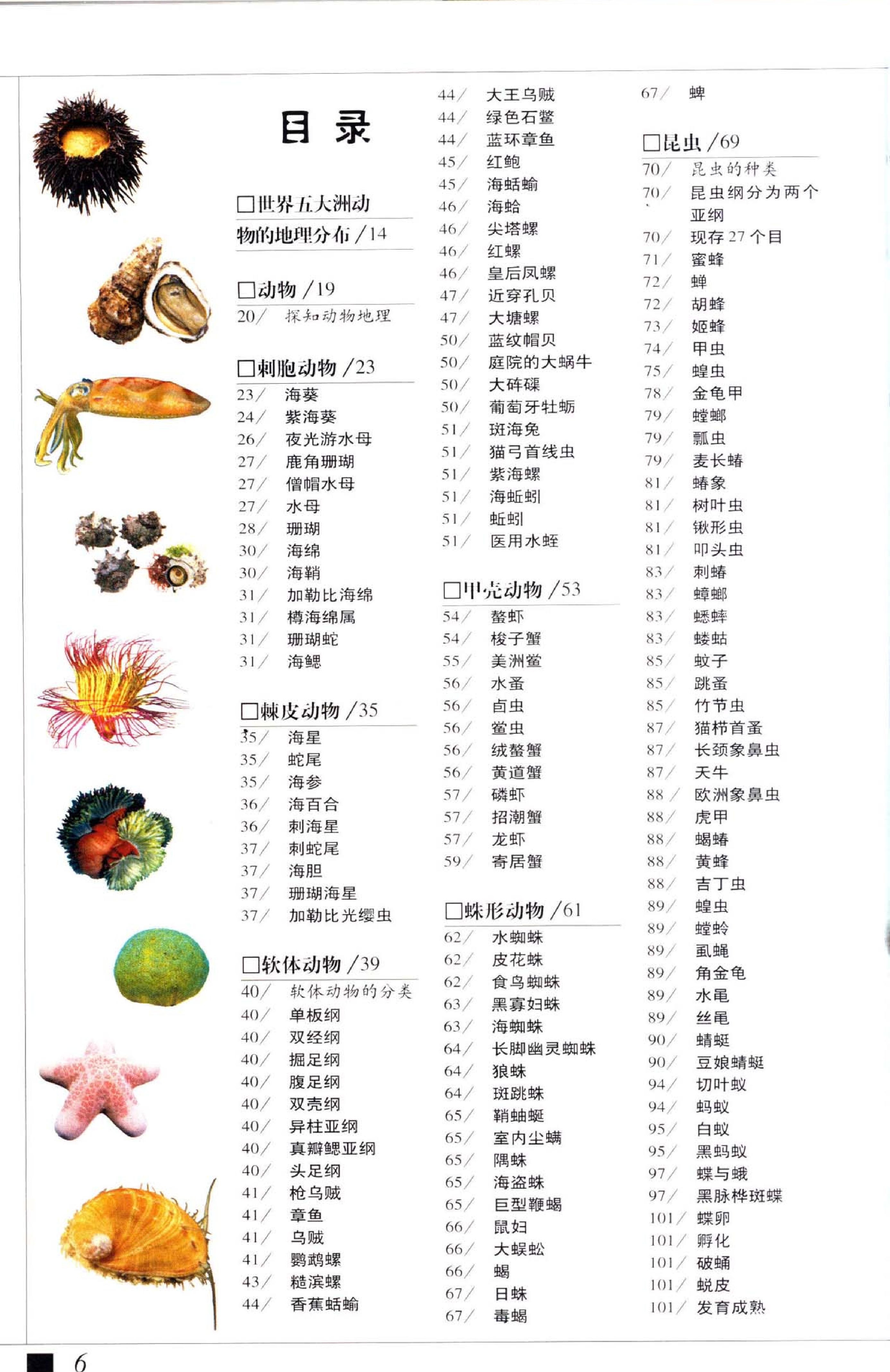 世界最美丽的560种动物#1#主编#溥奎.pdf_第7页