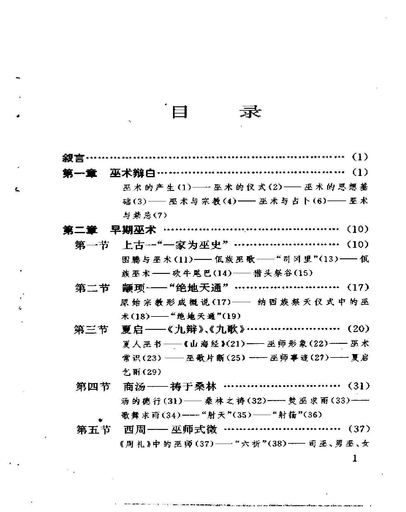 中国巫术#臧振.pdf_第5页