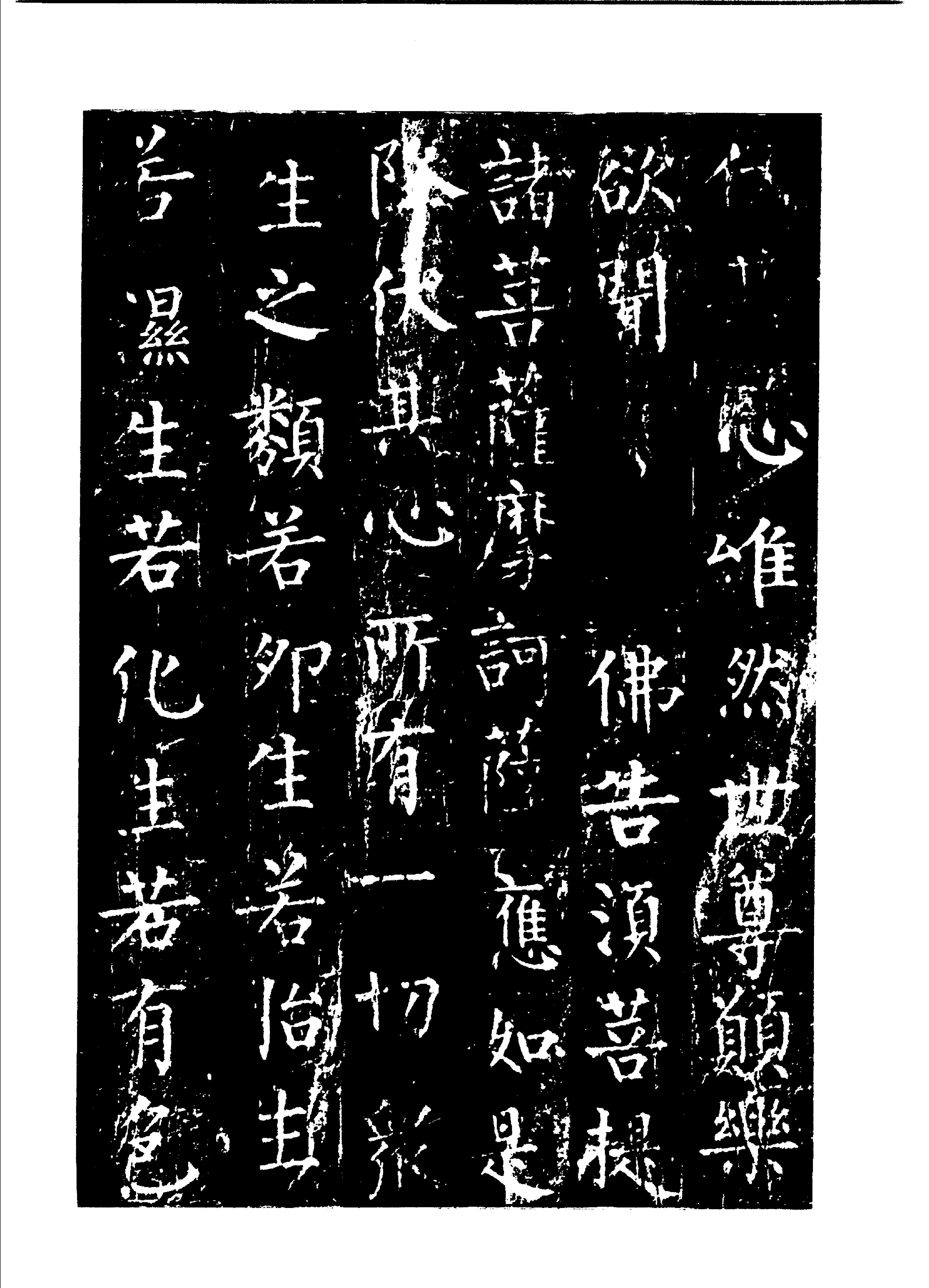 唐柳公权书金刚经#文物出版社.pdf_第9页