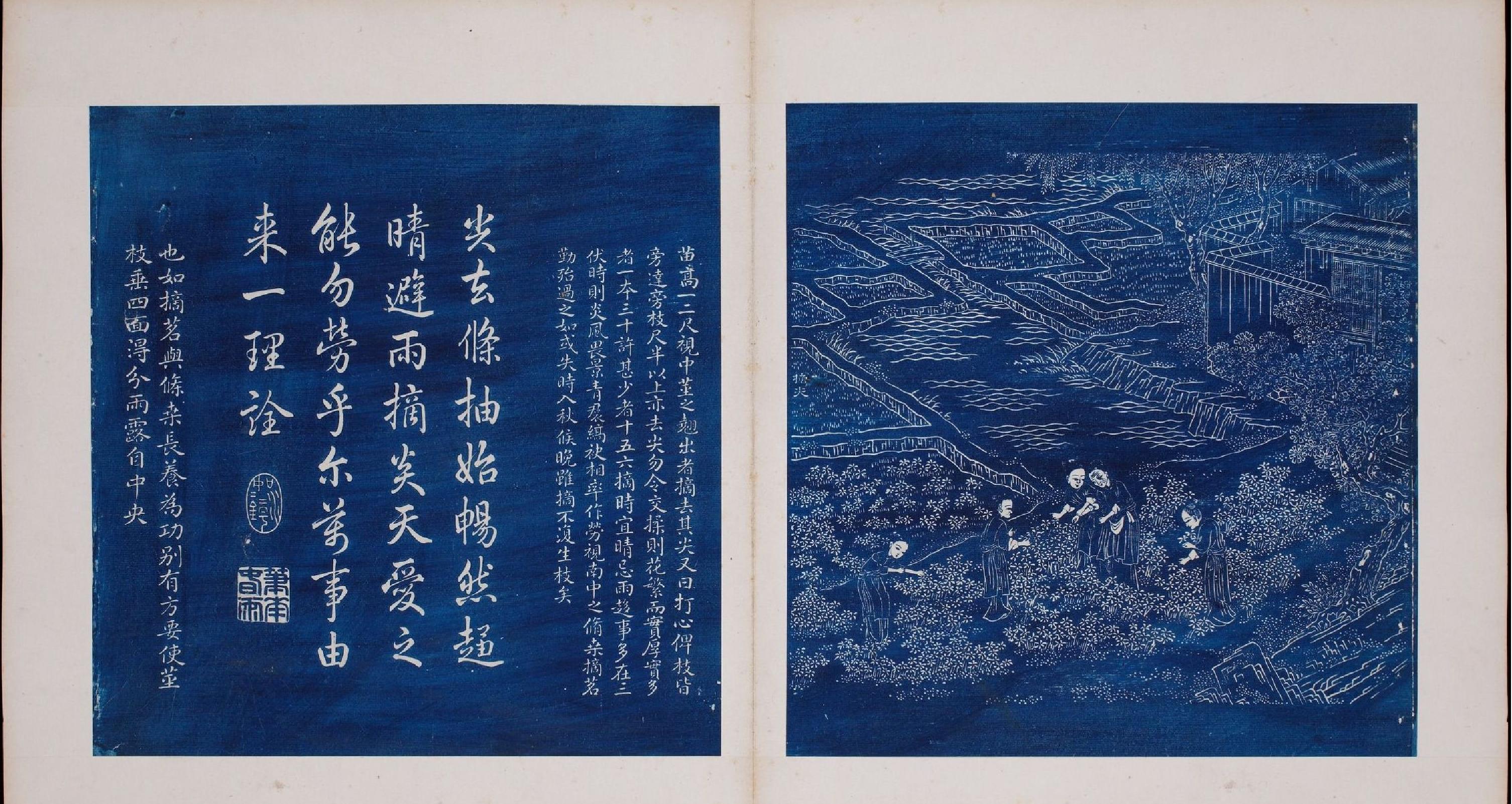 御题棉花图#方观承画#乾隆题诗#蓝拓本#1765年.pdf_第7页