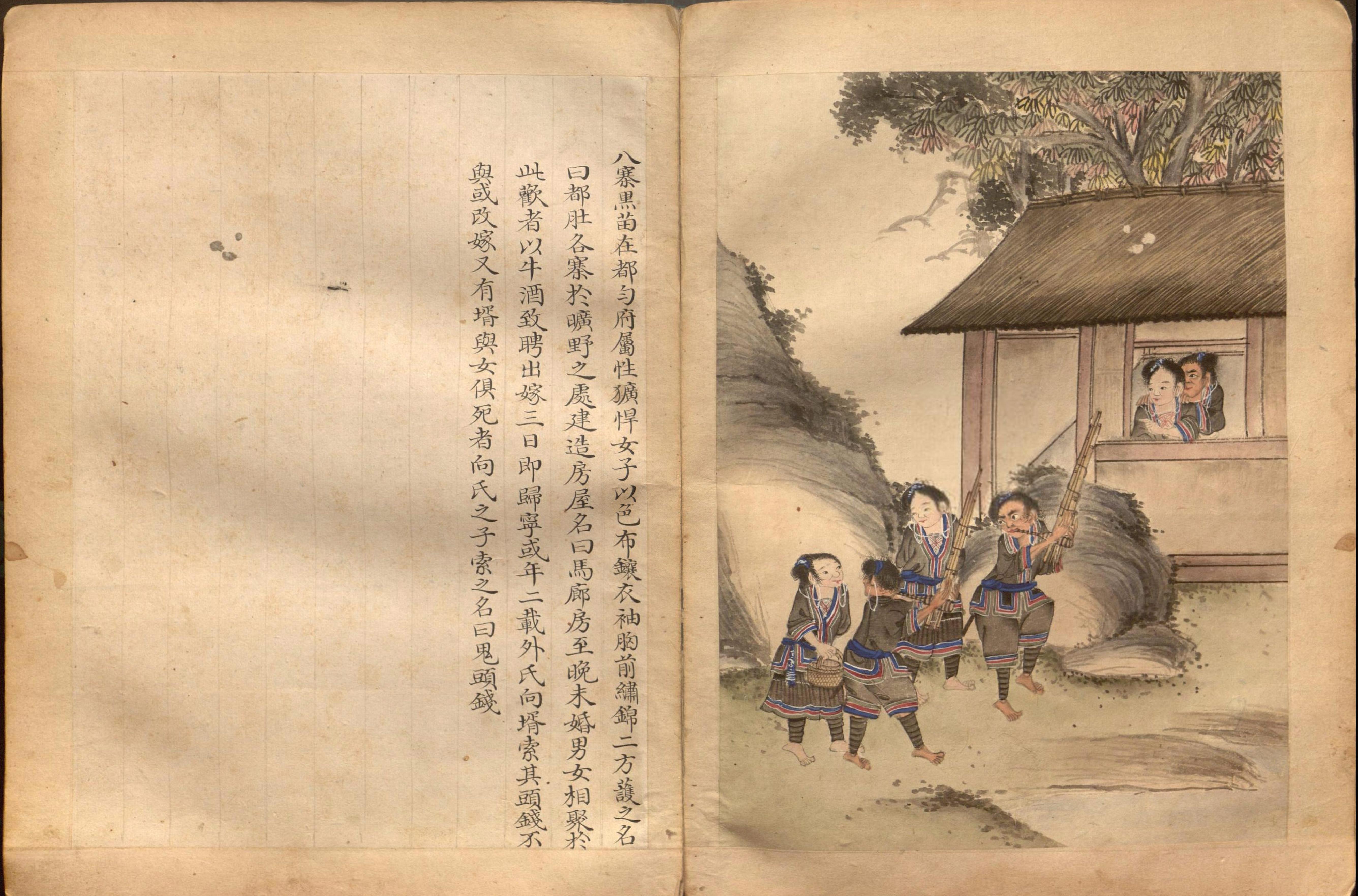 日本百苗图系列#苗蛮图册P#41幅#约绘制于1786年.pdf_第4页