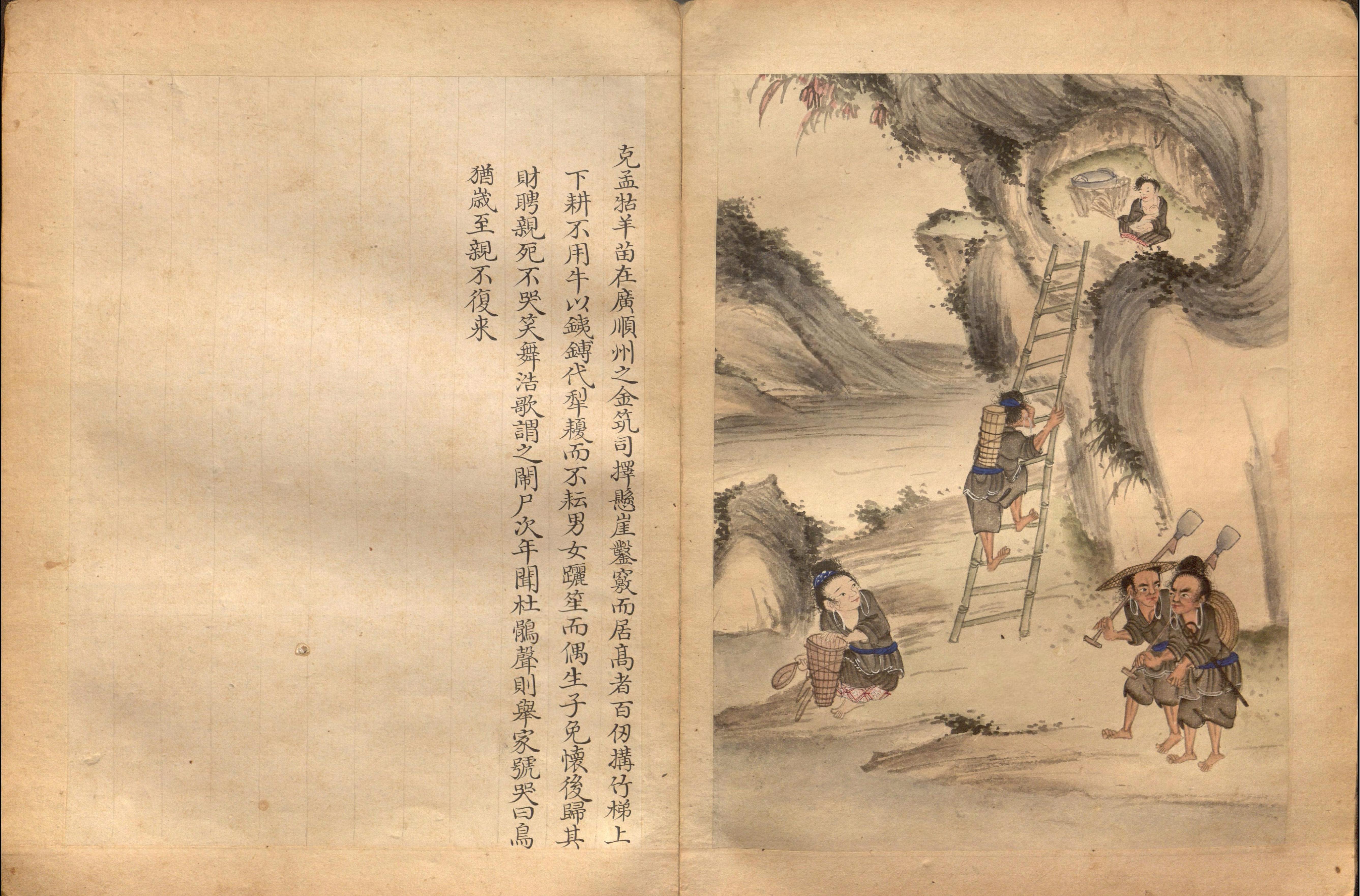 日本百苗图系列#苗蛮图册P#41幅#约绘制于1786年.pdf_第8页