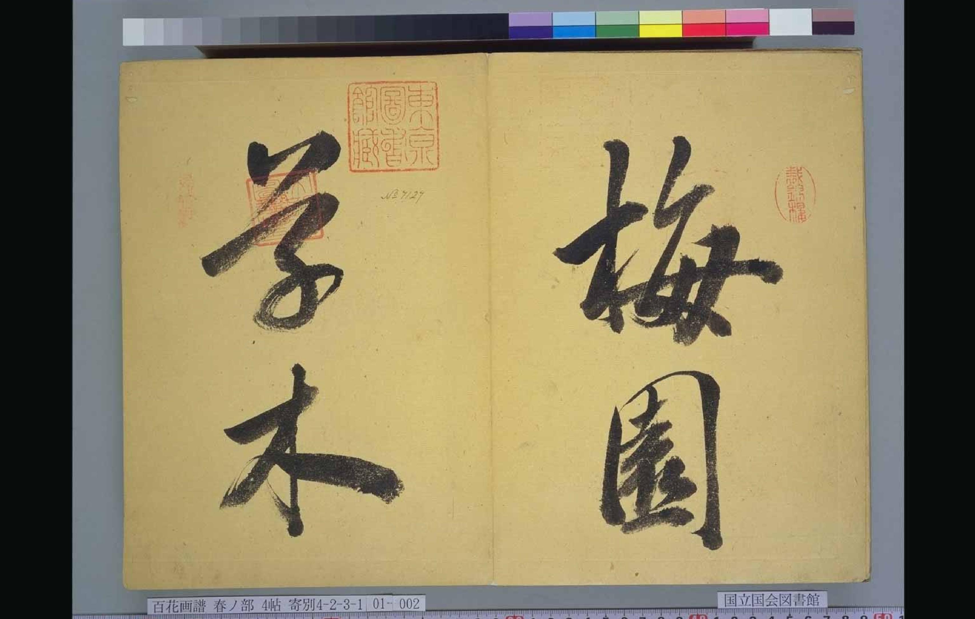 梅园百花画谱#春夏秋冬#毛利梅园#1825.pdf_第2页