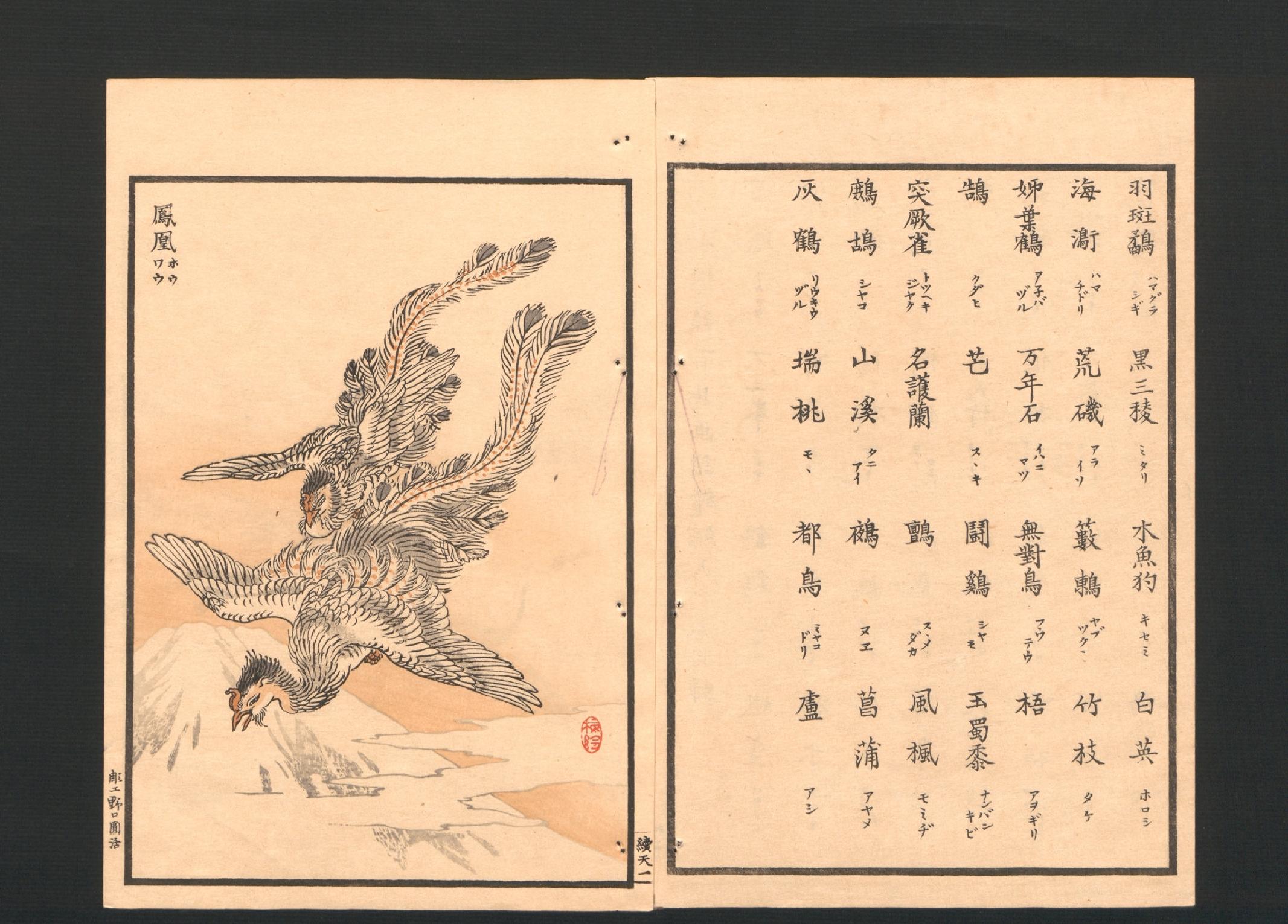 梅岭百鸟画谱续编#天地人#幸野梅岭画#1881年.pdf_第5页