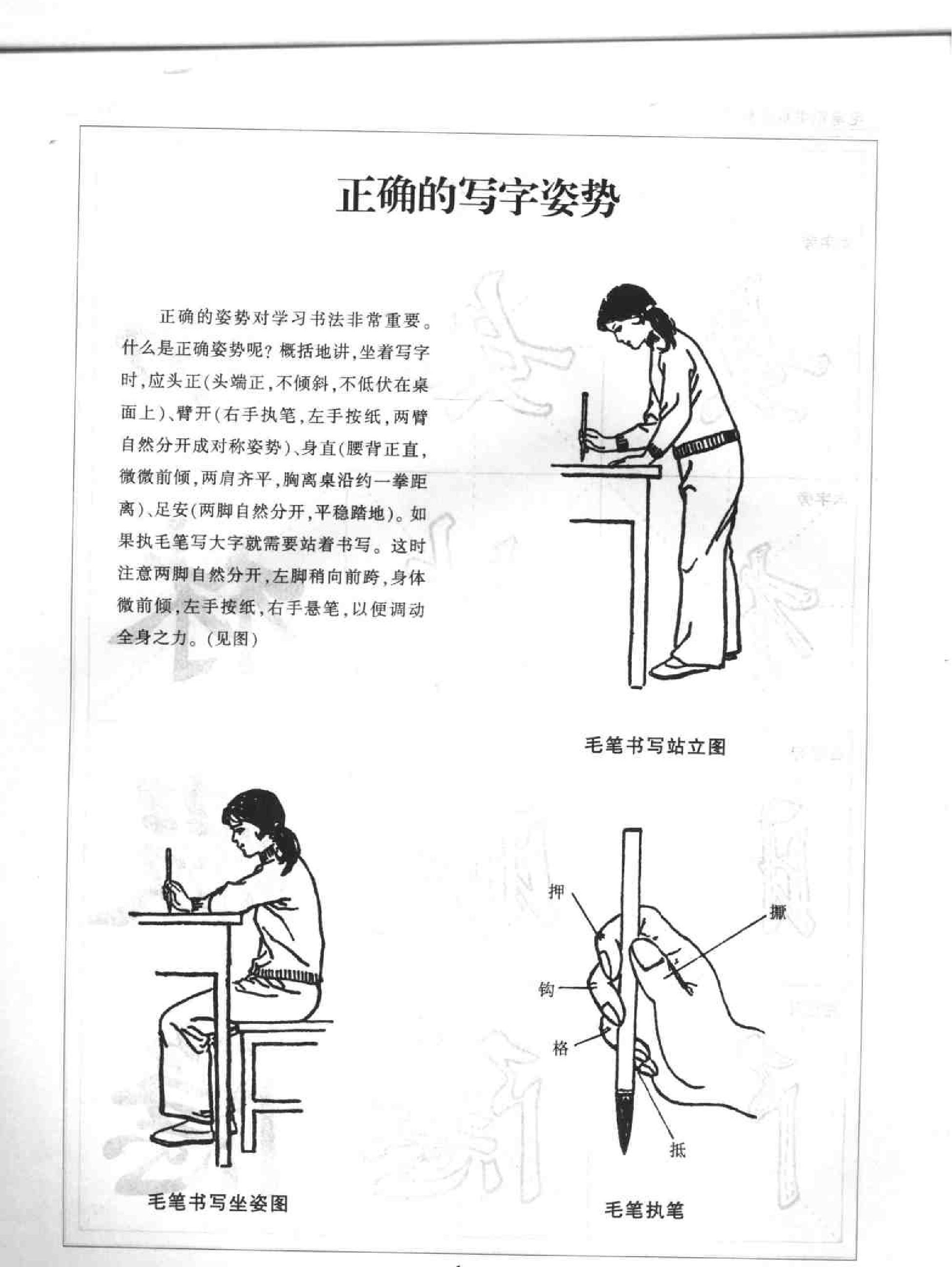 毛笔楷书实用教程中级段偏旁部首.pdf_第4页