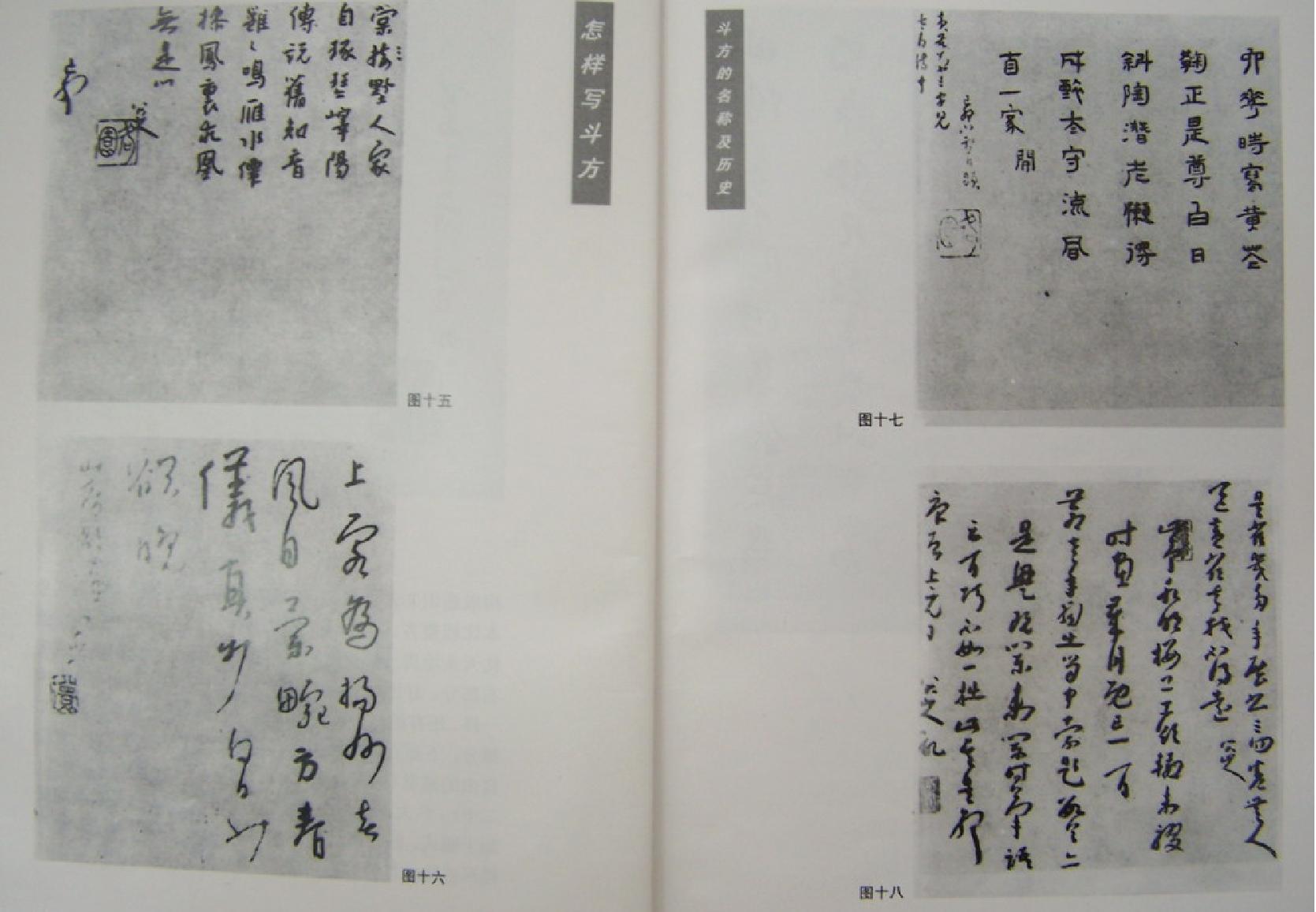 沃兴华怎样写斗方.pdf_第9页