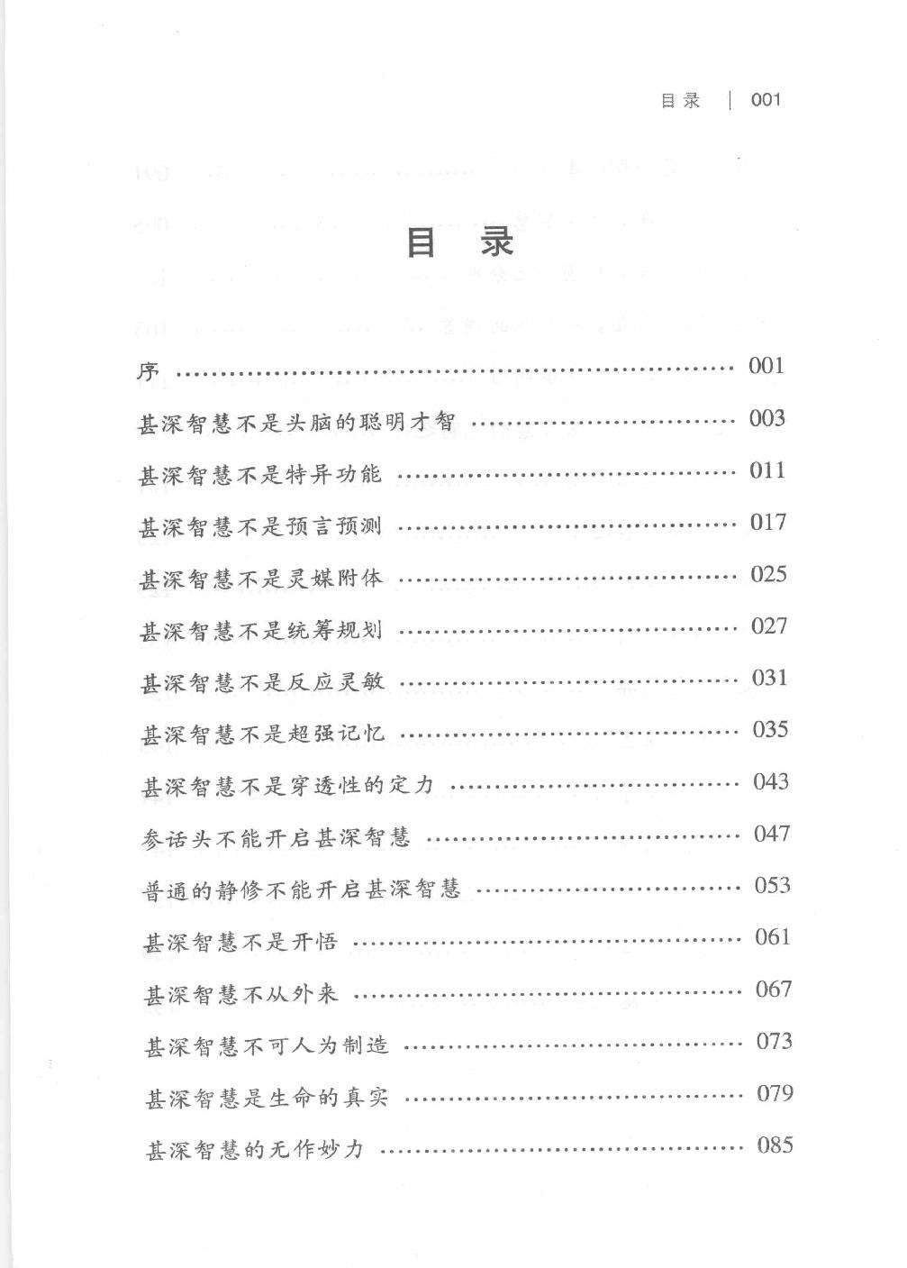 甚深智慧#东北着.pdf_第10页