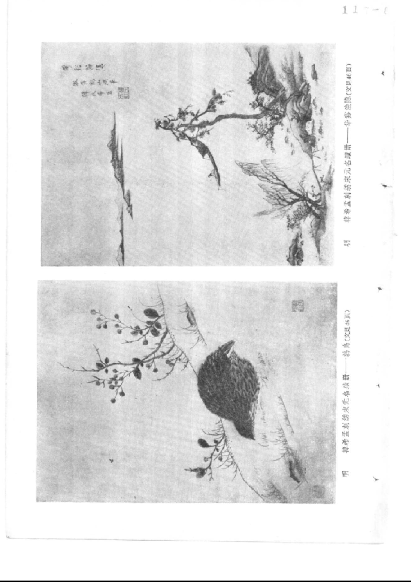 文物1961年02.pdf_第5页