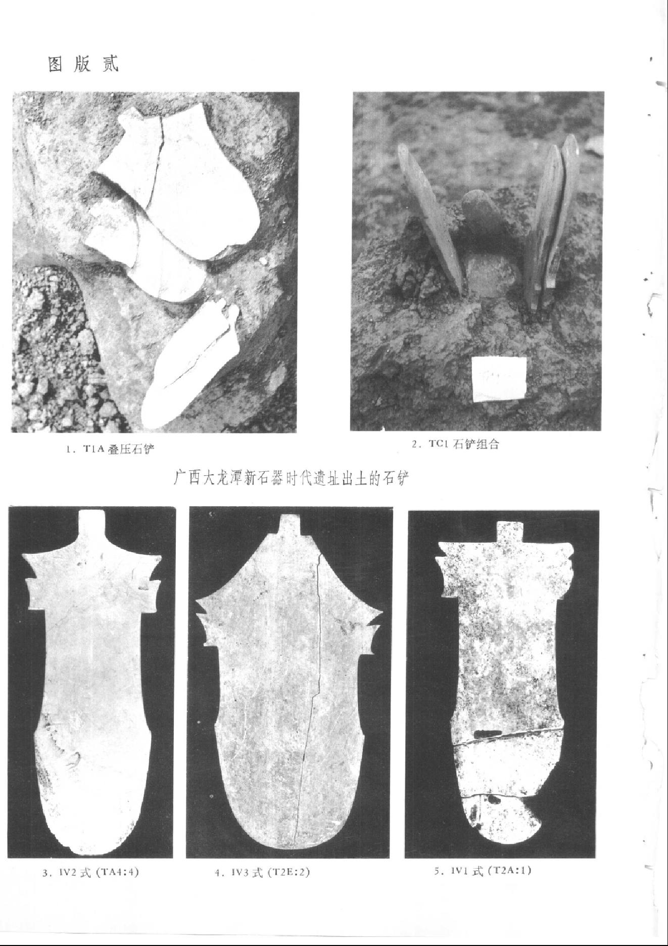 考古1982年第1-3期.pdf_第5页