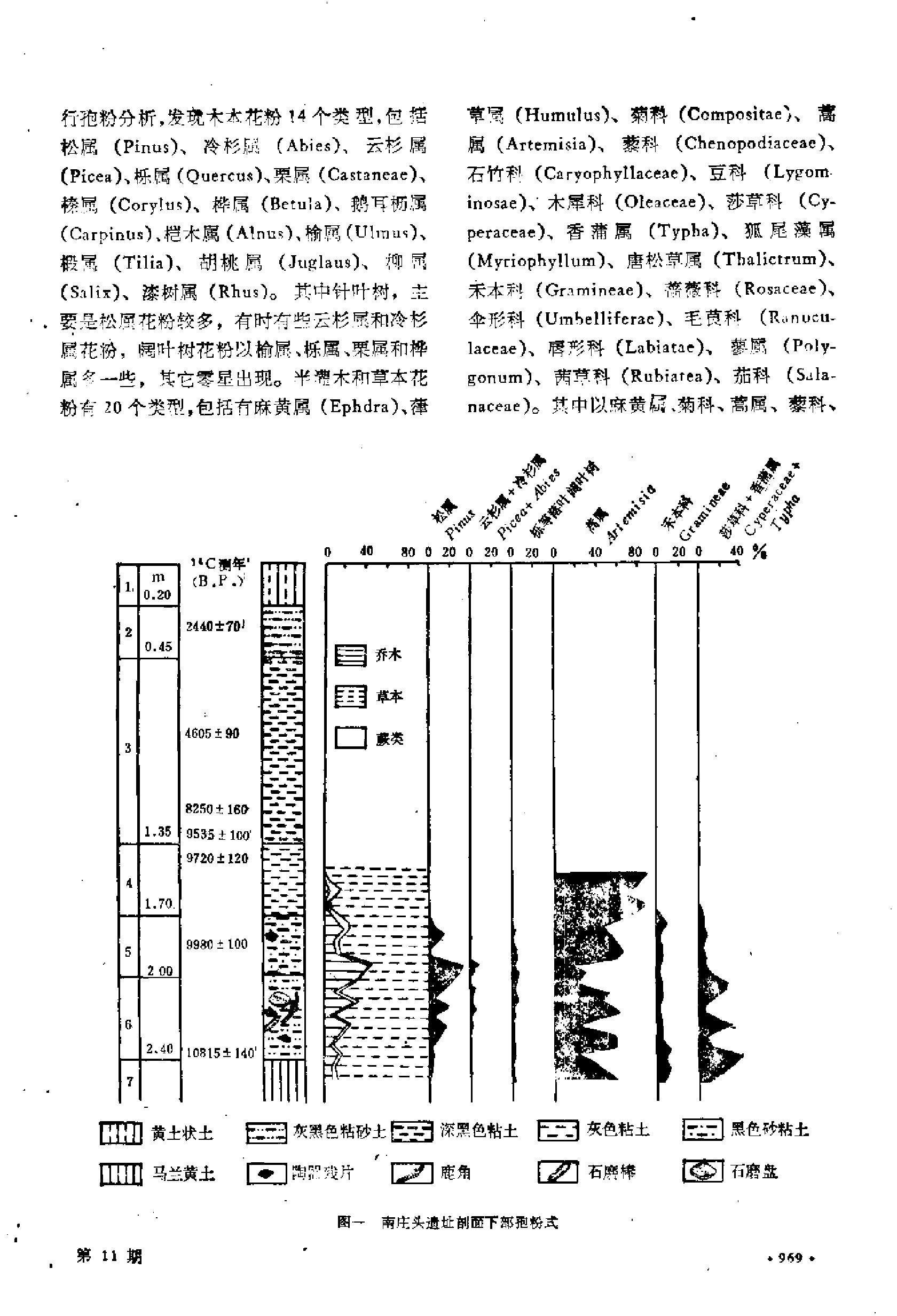 考古1992年第11期.pdf_第10页